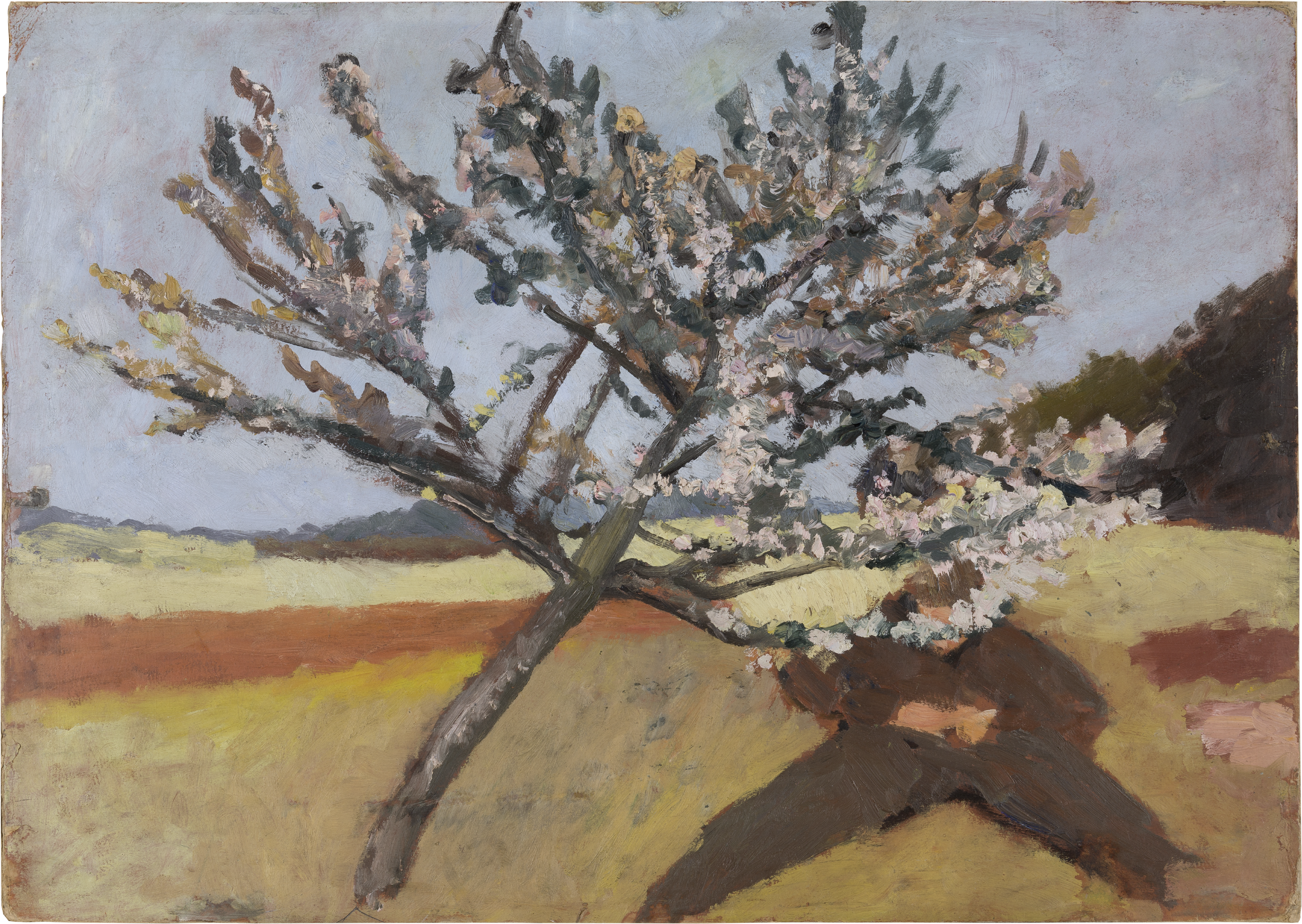 Man liggande under ett blommande träd by Paula Modersohn-Becker - 1903 - 52 x 74 cm 