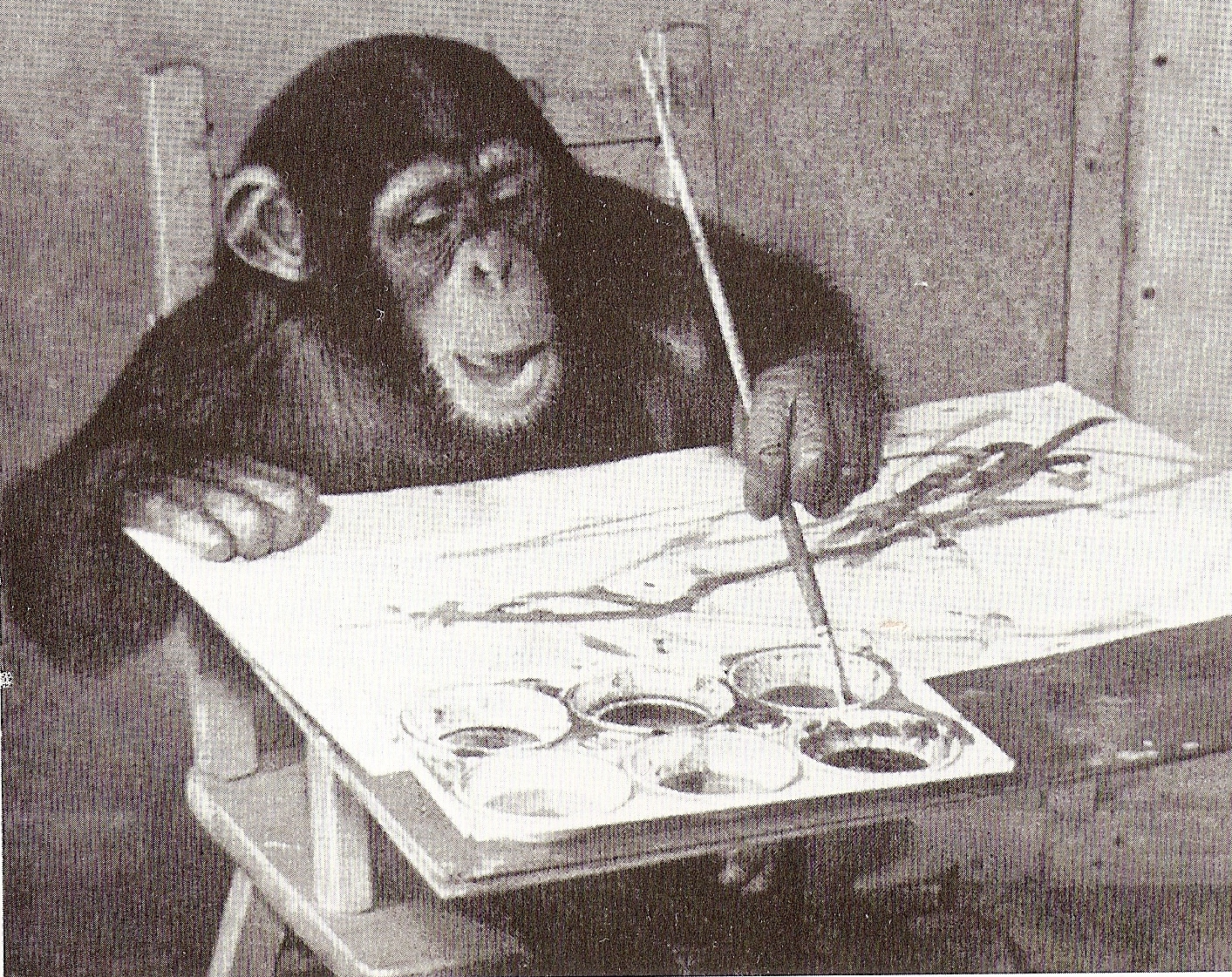 黑猩猩刚果 - 1954 - 1964