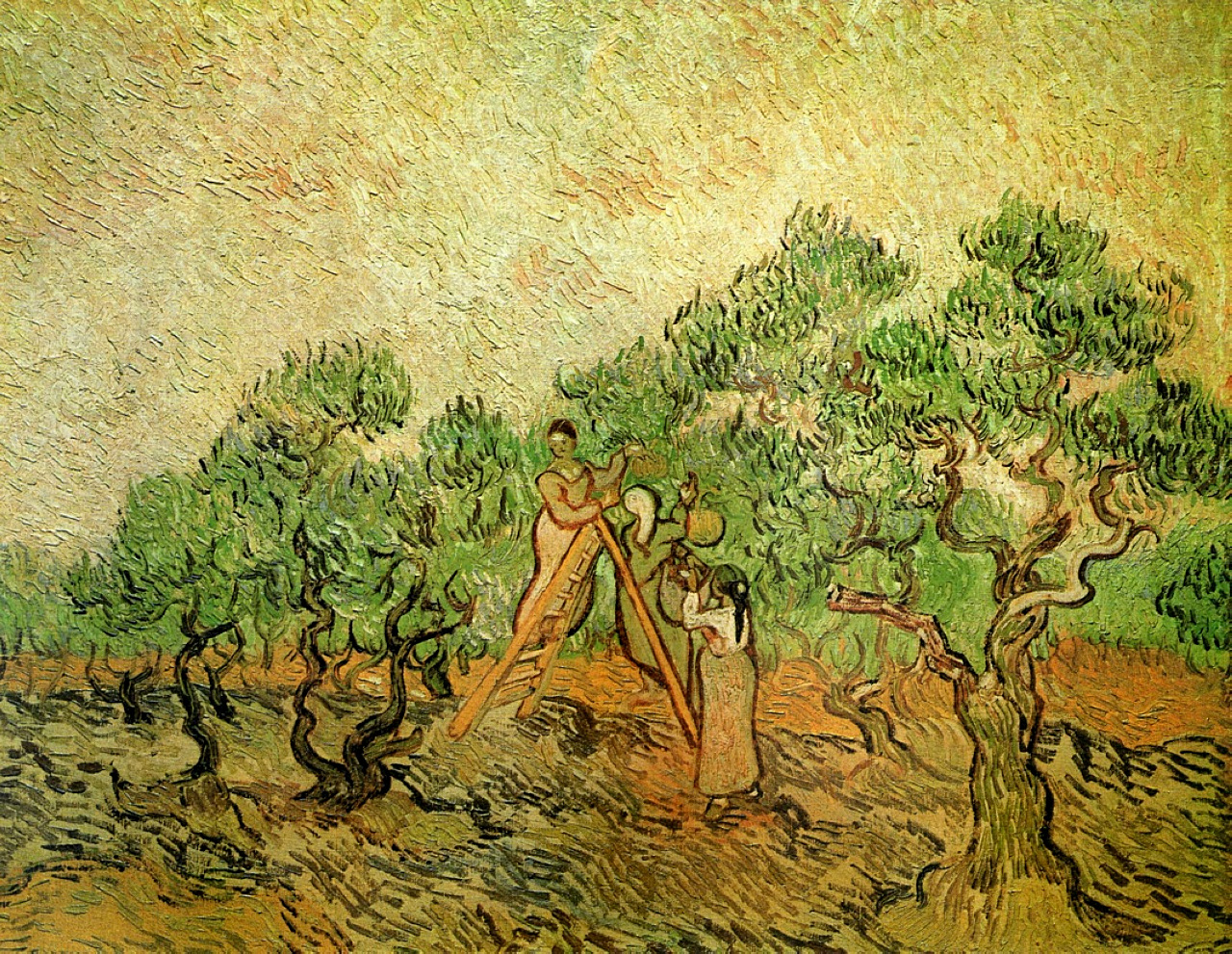 Olive Pickers by Vincent van Gogh - 1889 - 73 x 92 cm National Gallery of Art