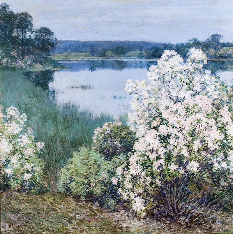 Kalmia by Willard L. Metcalf - 1905 - - Florence Griswold Museum
