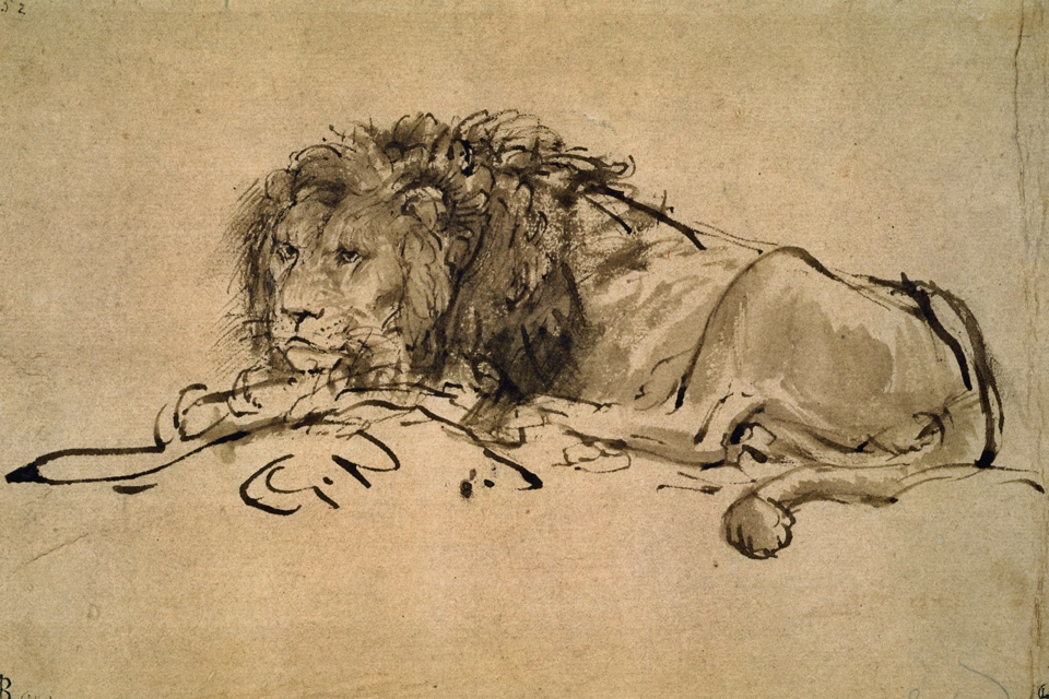 Lion Resting by Rembrandt van Rijn - 1650 - 13.8 x 20.4 cm Musée du Louvre