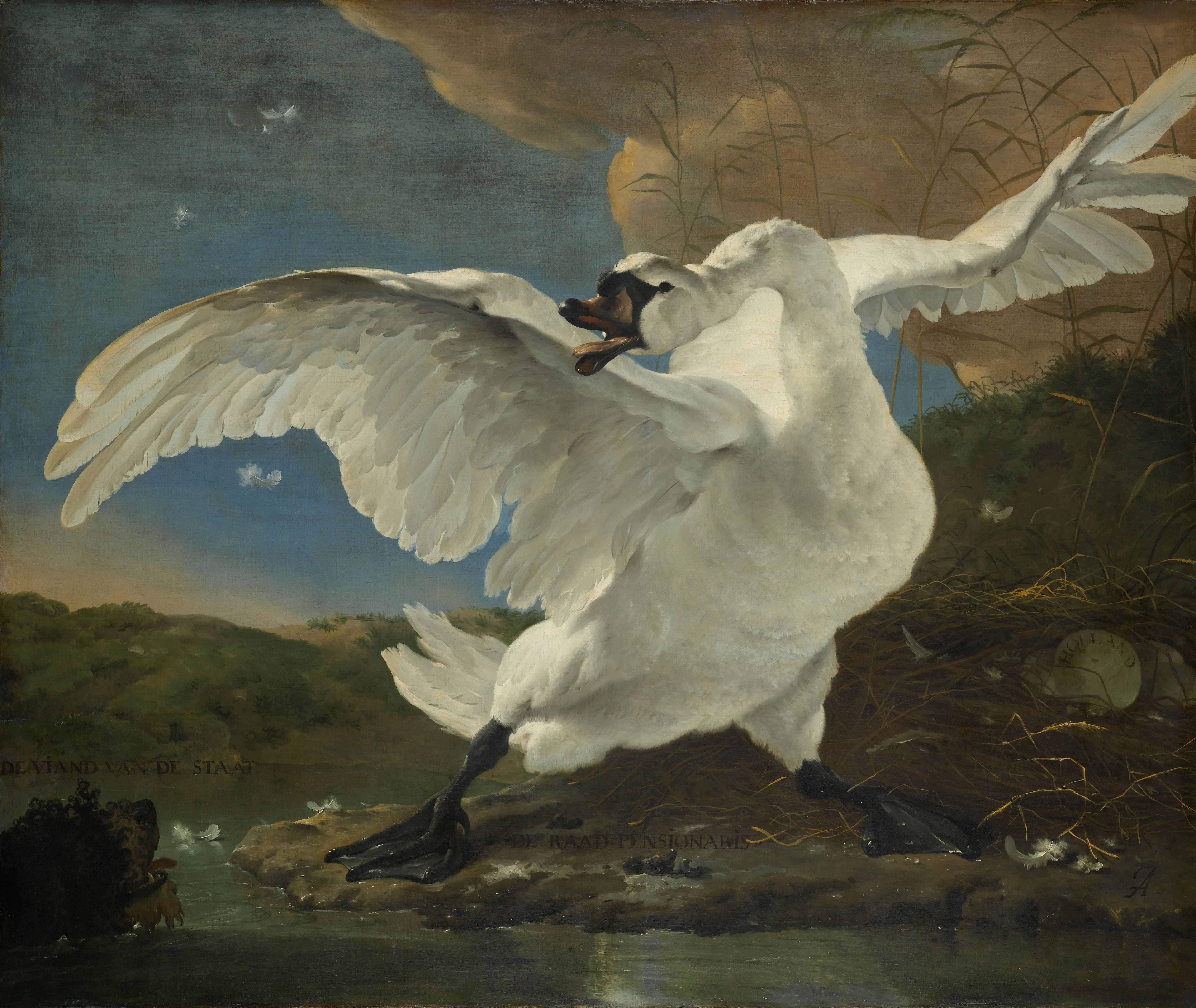 Испуганный лебедь. by Ян Асселейн - c. 1650 - 144 x 171 cm 