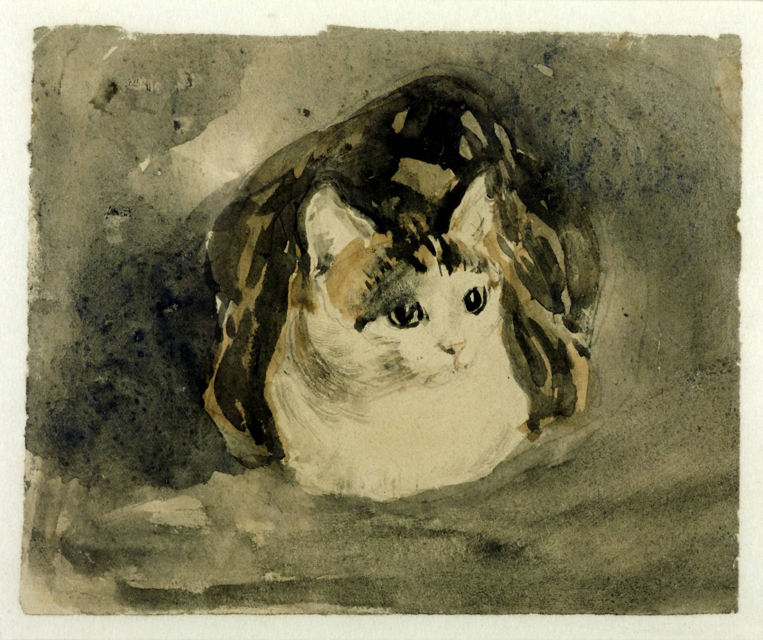 Le chat by Gwen John - 1908 -  111 x 137 mm 