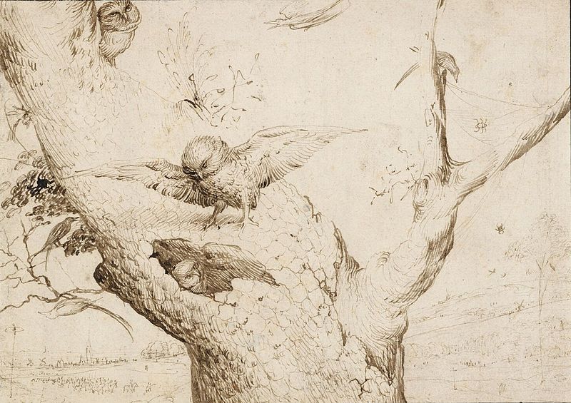 Гнездо сов by Иероним Бош - около 1505-1516 - 14,1 x 19,7 см 