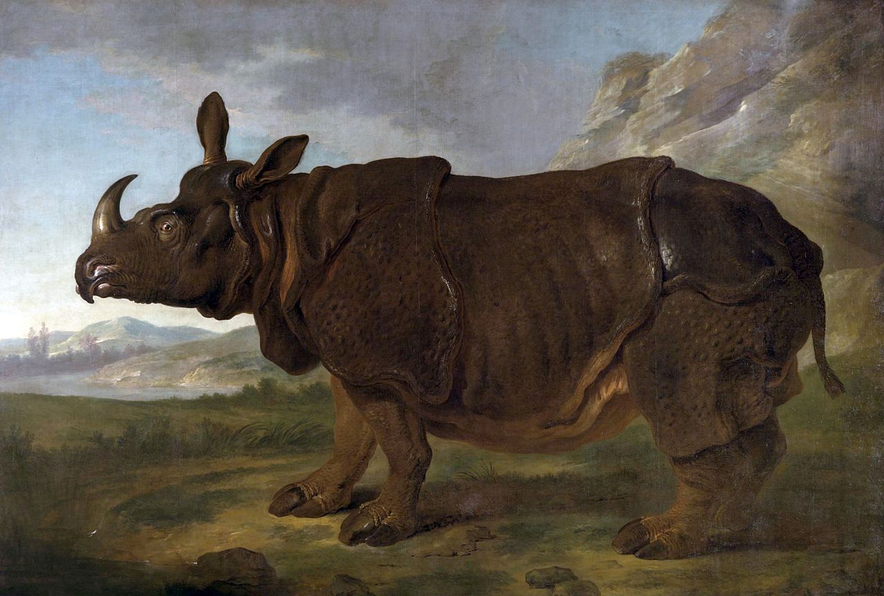 犀牛克拉拉 by Jean-Baptiste Oudry - 西元1749 - 310 x 456 公分 