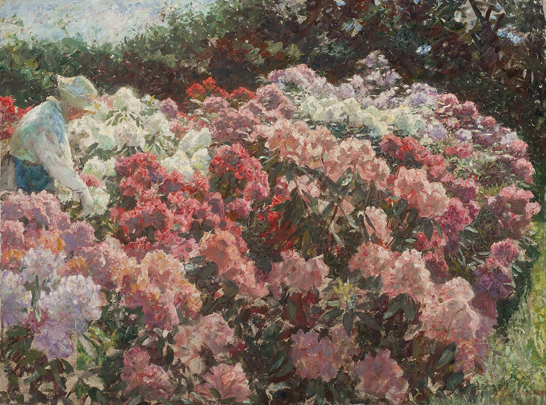 Рододендроны в саду Туксена (Rhododendrons in Tuxen’s Garden) by Laurits Tuxen - 1917 - 92.2 x 124 см 