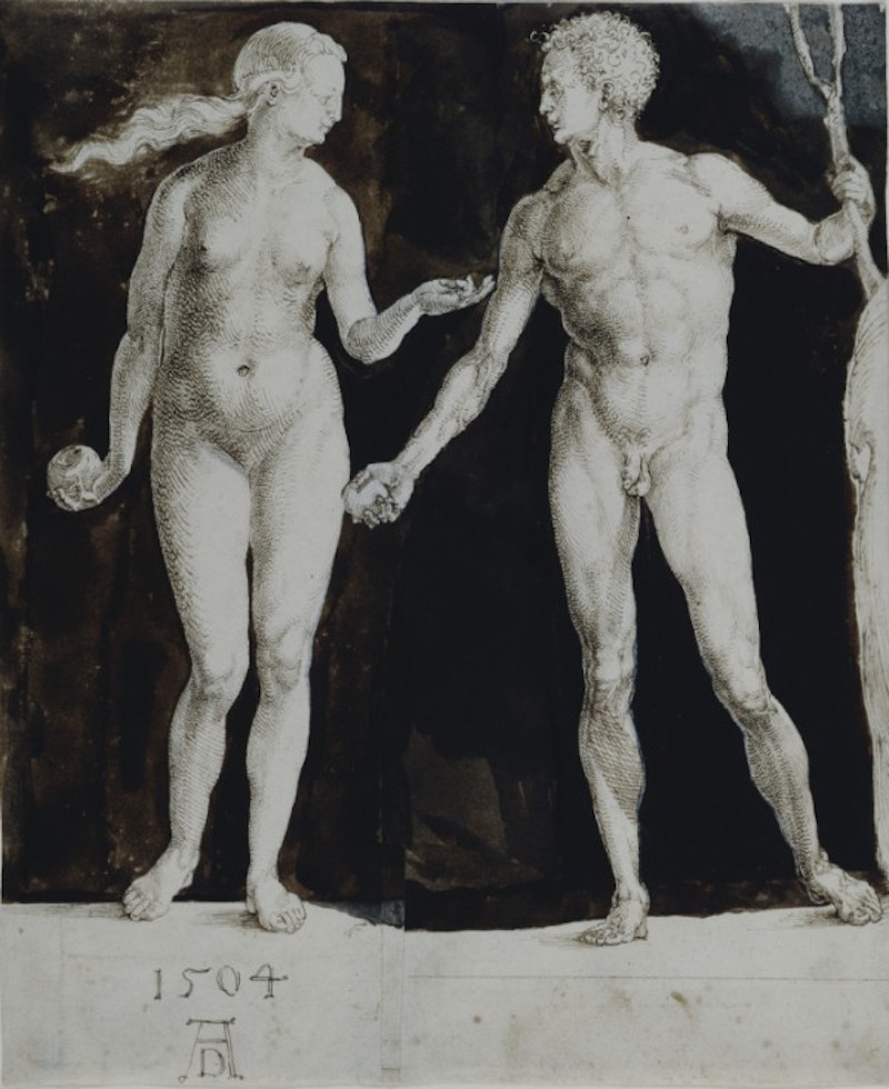 Adam and Eve by Albrecht Dürer - 1504 - 201 x 242 mm The Morgan Library & Museum