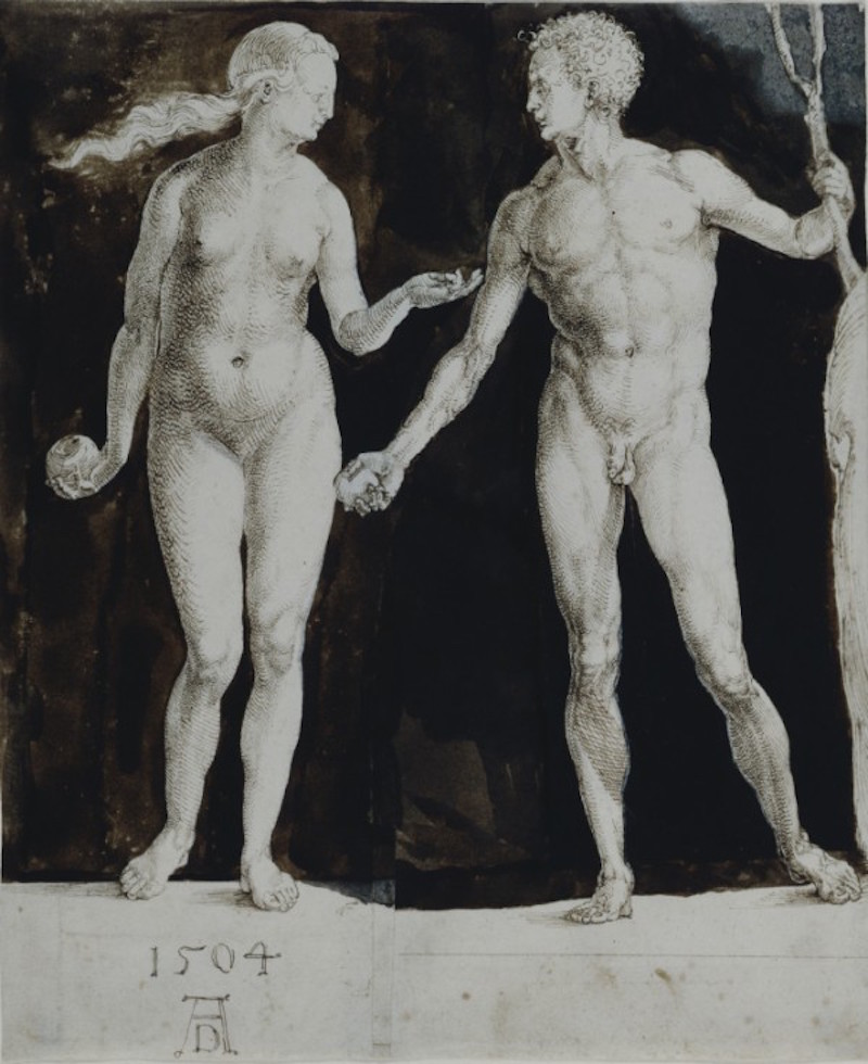 Adam a Eva by Albrecht Dürer - 1504 - 201 x 242 mm 