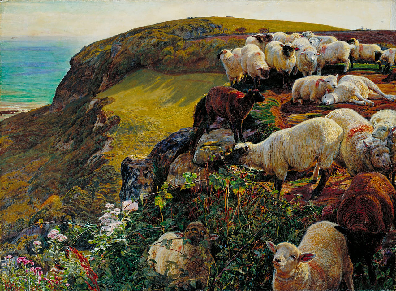 我们的英国海岸，1852年（“迷途的羊”） by 威廉 亨特 - 1852 - 432 x 584 mm 