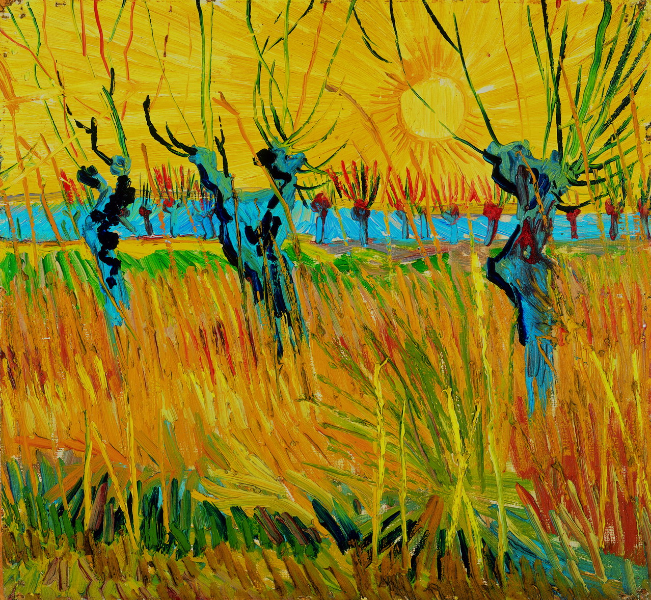 Pollard fűzfák naplementében by Vincent van Gogh - 1888 - 31,6 x 34,3 cm 