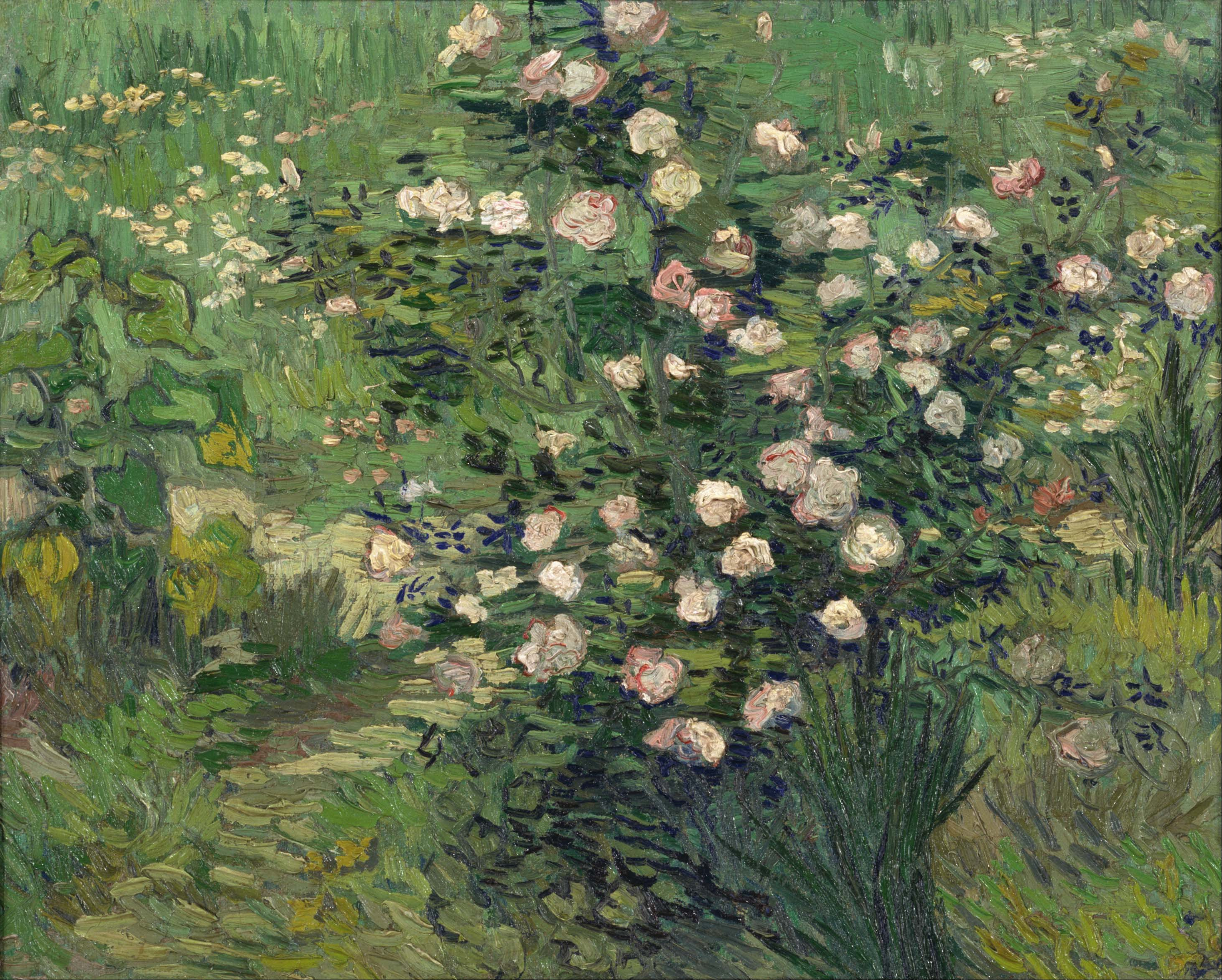Rosas by Vincent van Gogh - 1889 Museo Nacional de Arte Occidental, Tokio