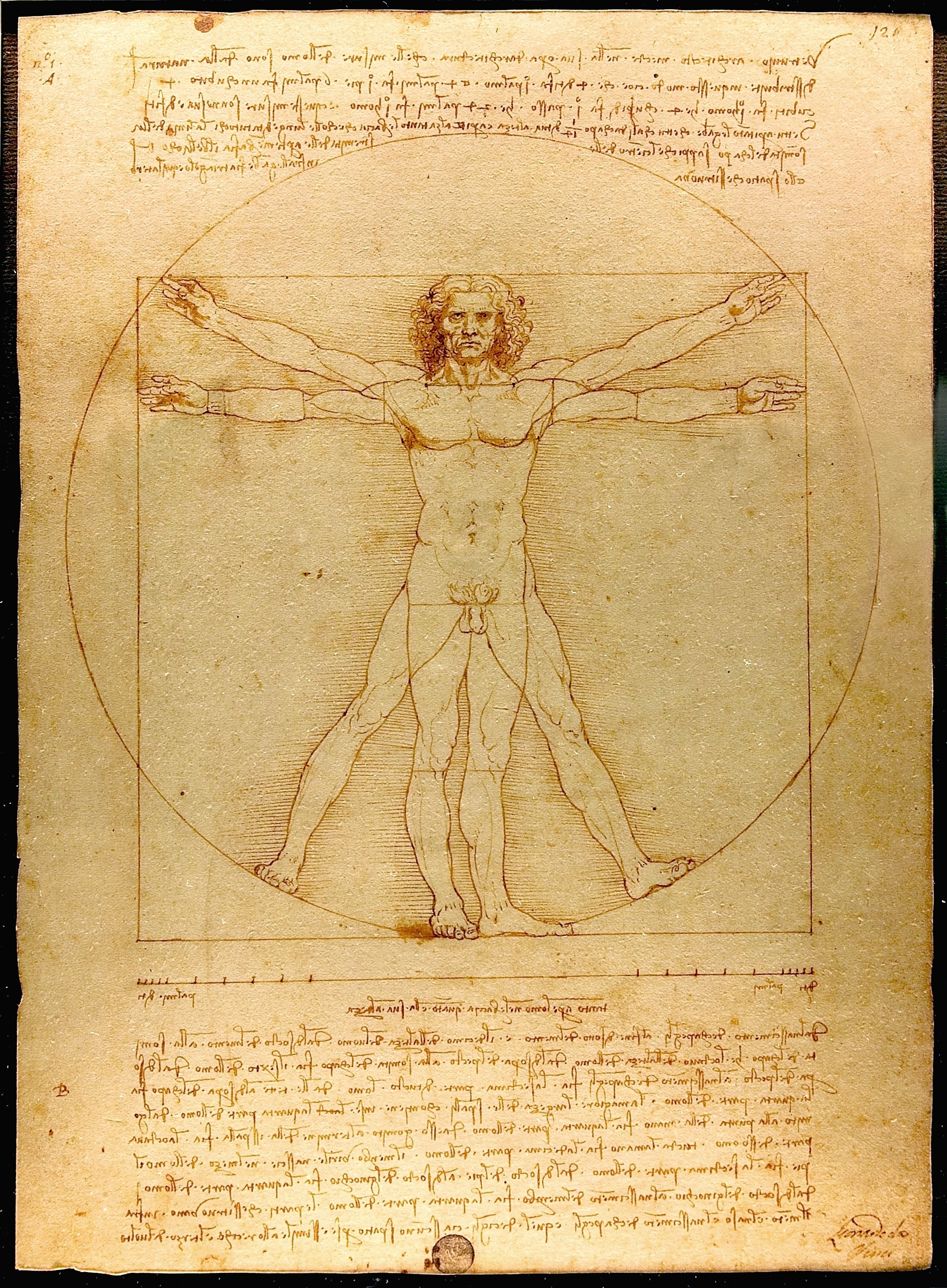 Vitruviánský muž by Leonardo da Vinci - 1490 - 35 cm x 26 cm 