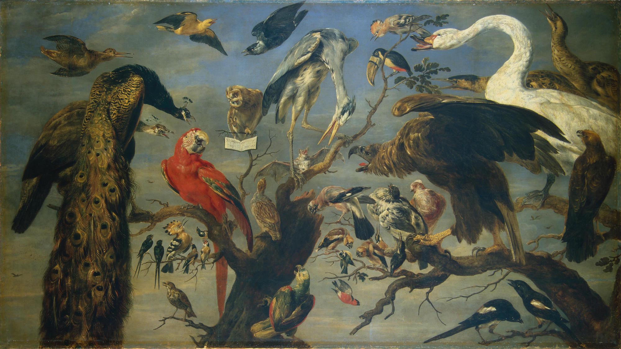 Madár koncert by Frans Snyders - 1630-1640 körül - 136,5 x 240 cm 