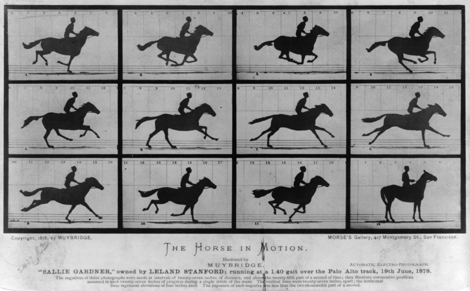 The Horse in motion. "Sallie Gardner," owned by Leland Stanford; running at a 1:40 gait over the Palo Alto track, 19th June 1878 by Eadweard Muybridge - 1878 - - Library of Congress