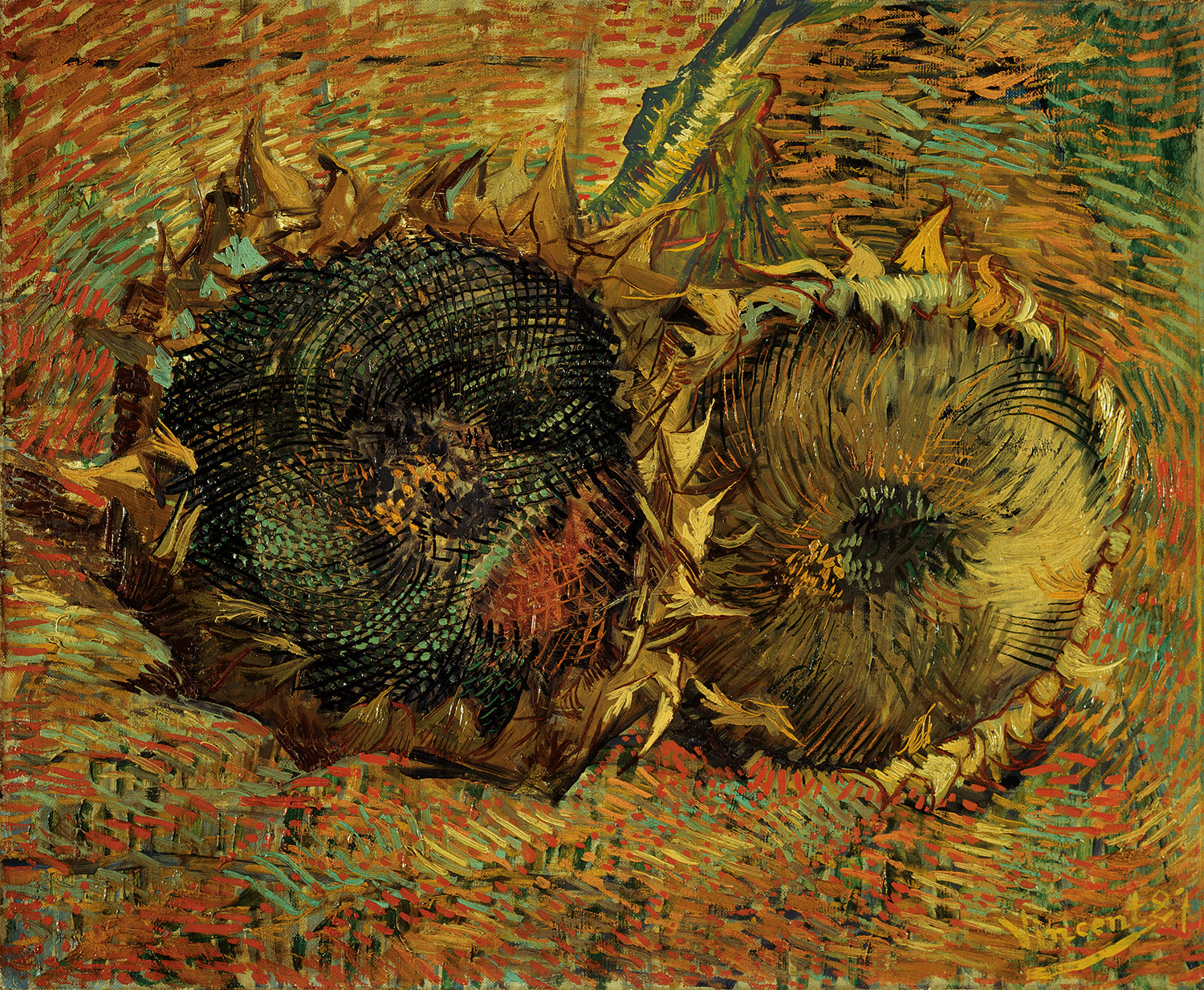 Florile-soarelui by Vincent van Gogh - 1887 - 50 x 60,7 cm 