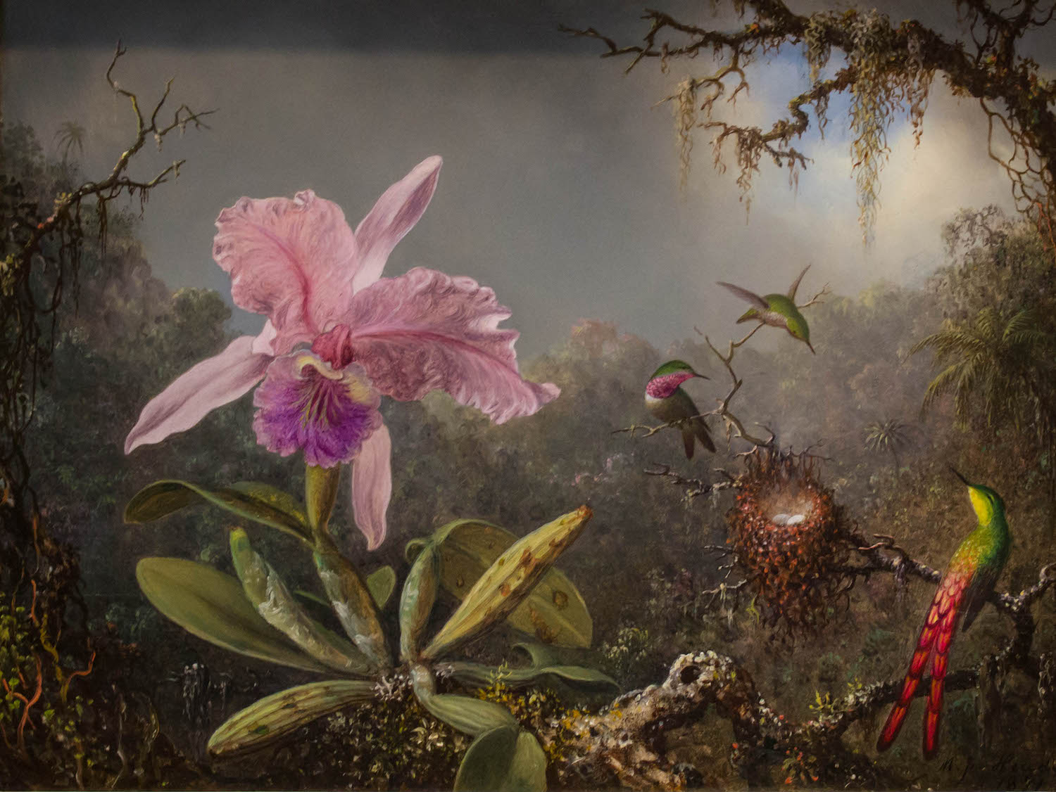 Cattleya Orkidesi ve Üç Sinekkuşu by Martin Johnson Heade - 1871 