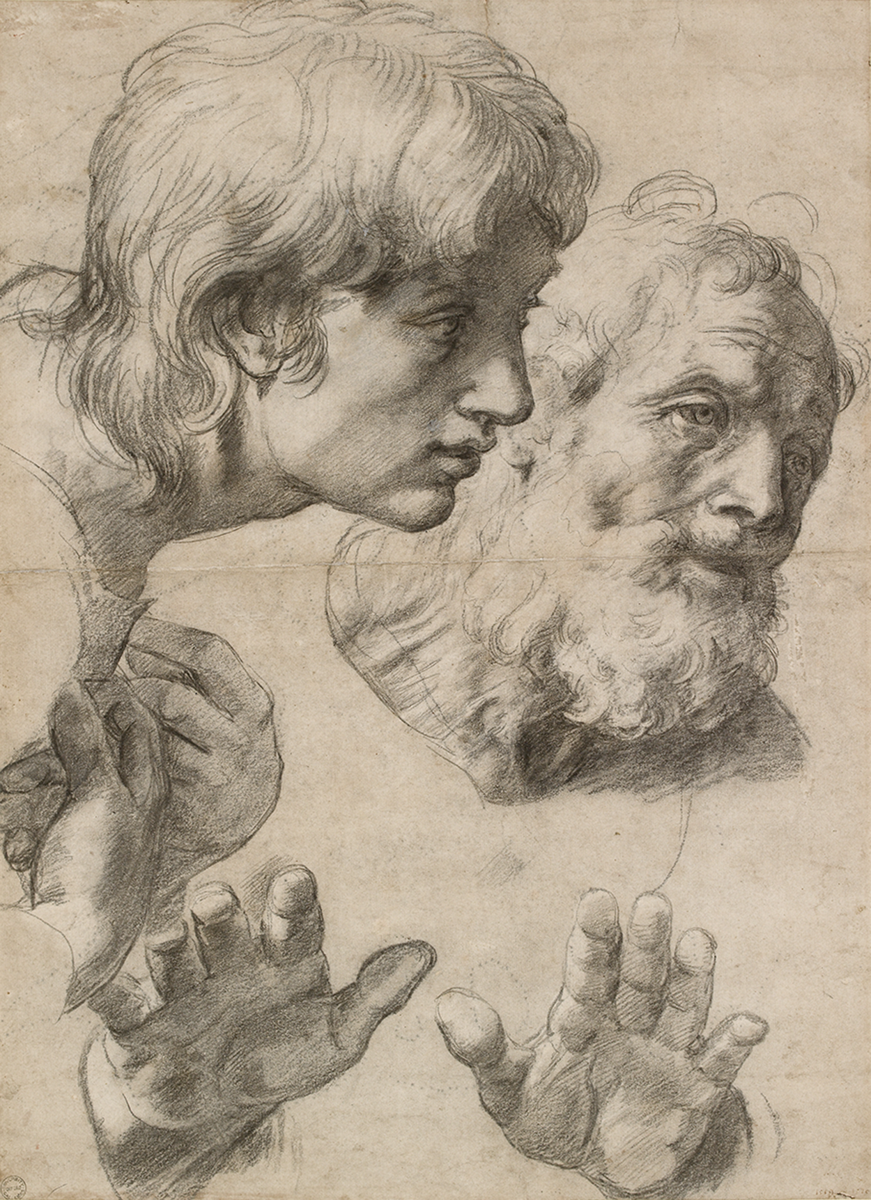 The Heads and Hands of Two Apostles by Raphael Santi - c.1519-20 - 49.9 x 36.4 cm Ashmolean Museum
