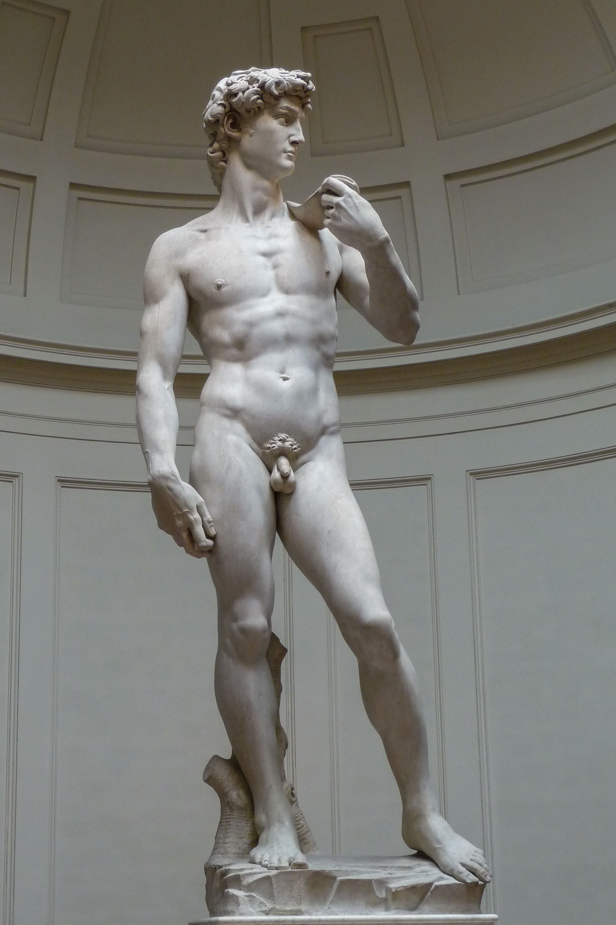 David by  Miguel Ángel - 1501-1504 - 5.17 m Academia de Bellas Artes de Florencia