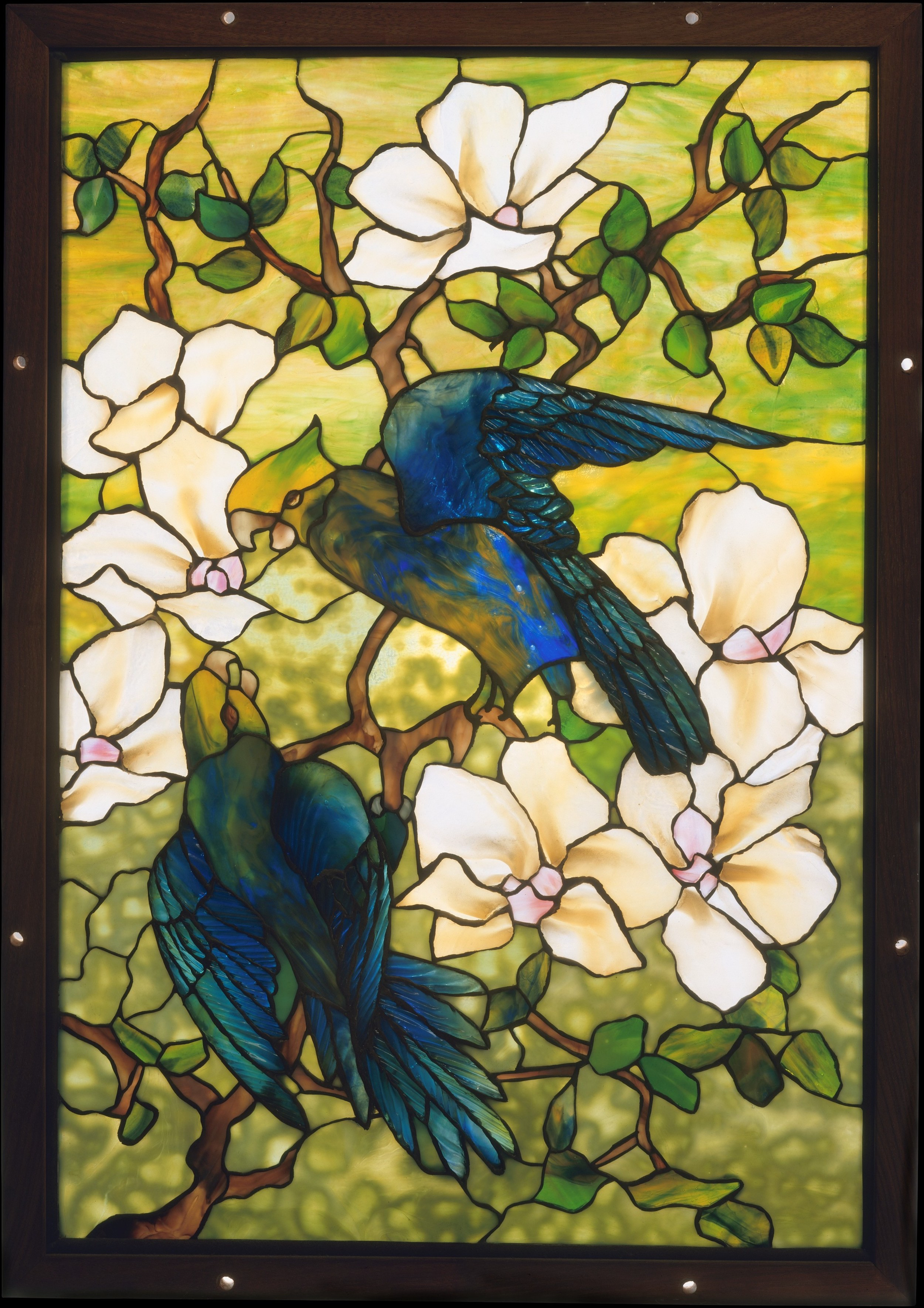 Гибискус и попугаи by Louis Tiffany - ок. 1910–20 - 66 x 45.1 см 