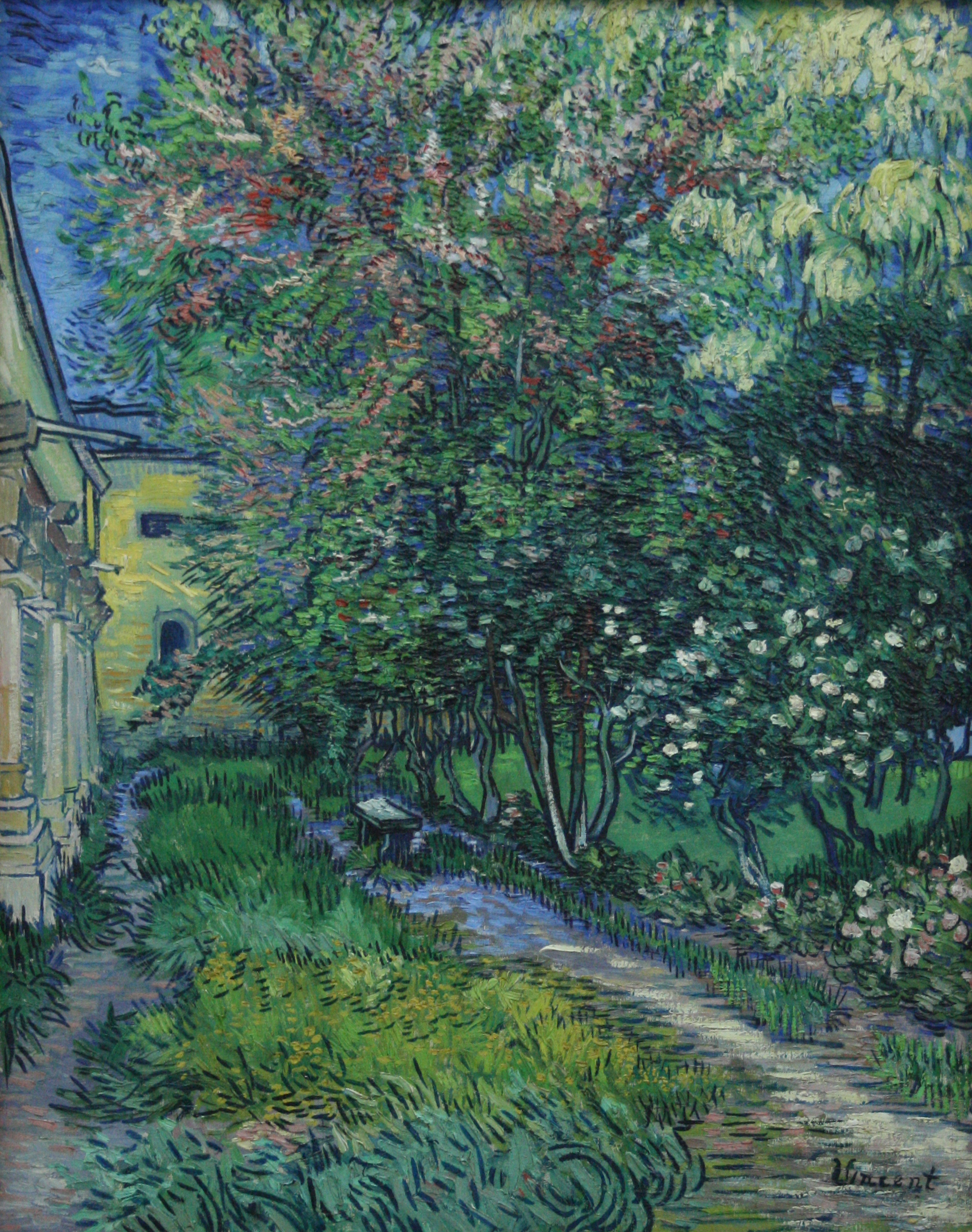 Zahrada psychiatrické léčebny v Saint-Rémy by Vincent van Gogh - Květen 1889 - 91,5 x 72 cm 