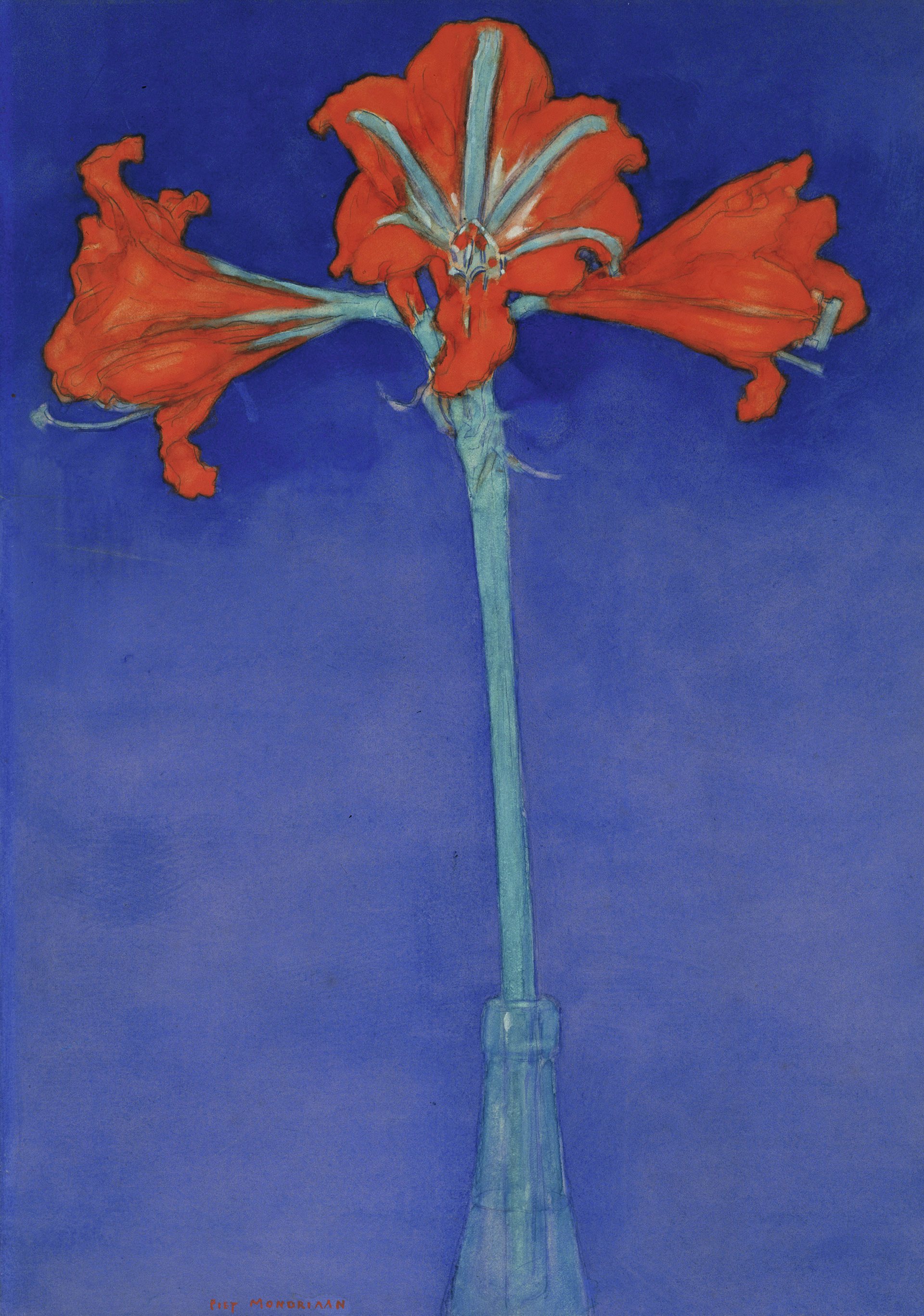 Rode Amaryllis met Blauwe Achtergrond by Piet Mondrian - 1907 - 46,5 x 33 cm 