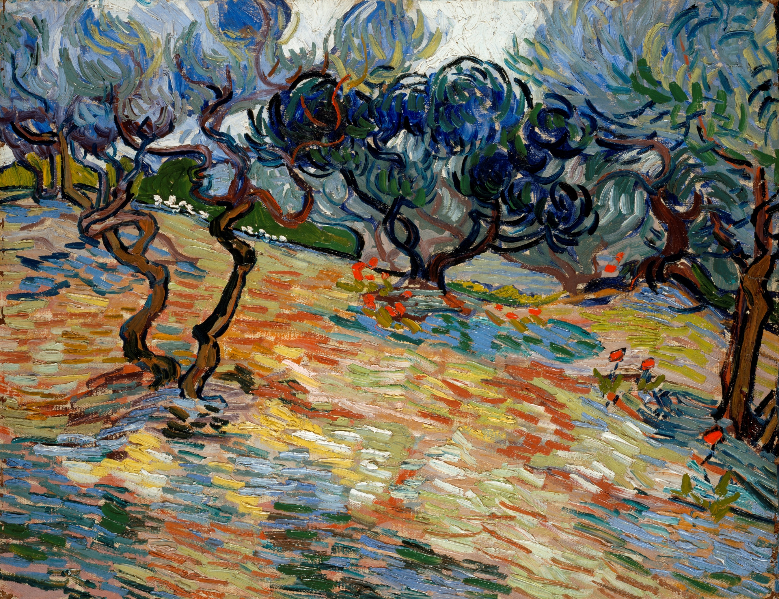 أشجار الزيتون by فينسنت فان جوخ - 1889 - 51.00 x 65.20 سم 