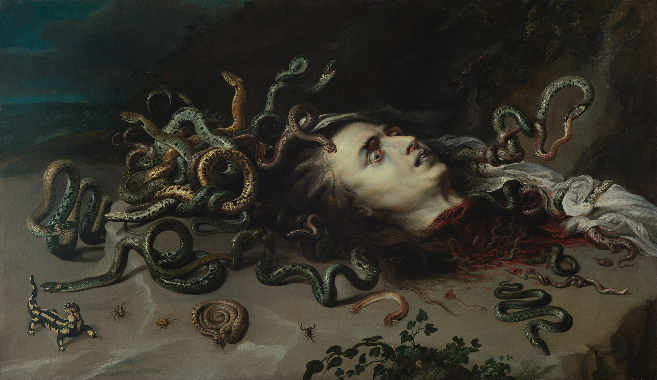 رأس ميدوسا by Peter Paul Rubens - ١٦١٧-١٦١٨ - ١١٨ سم  x ٦٨.٥ 