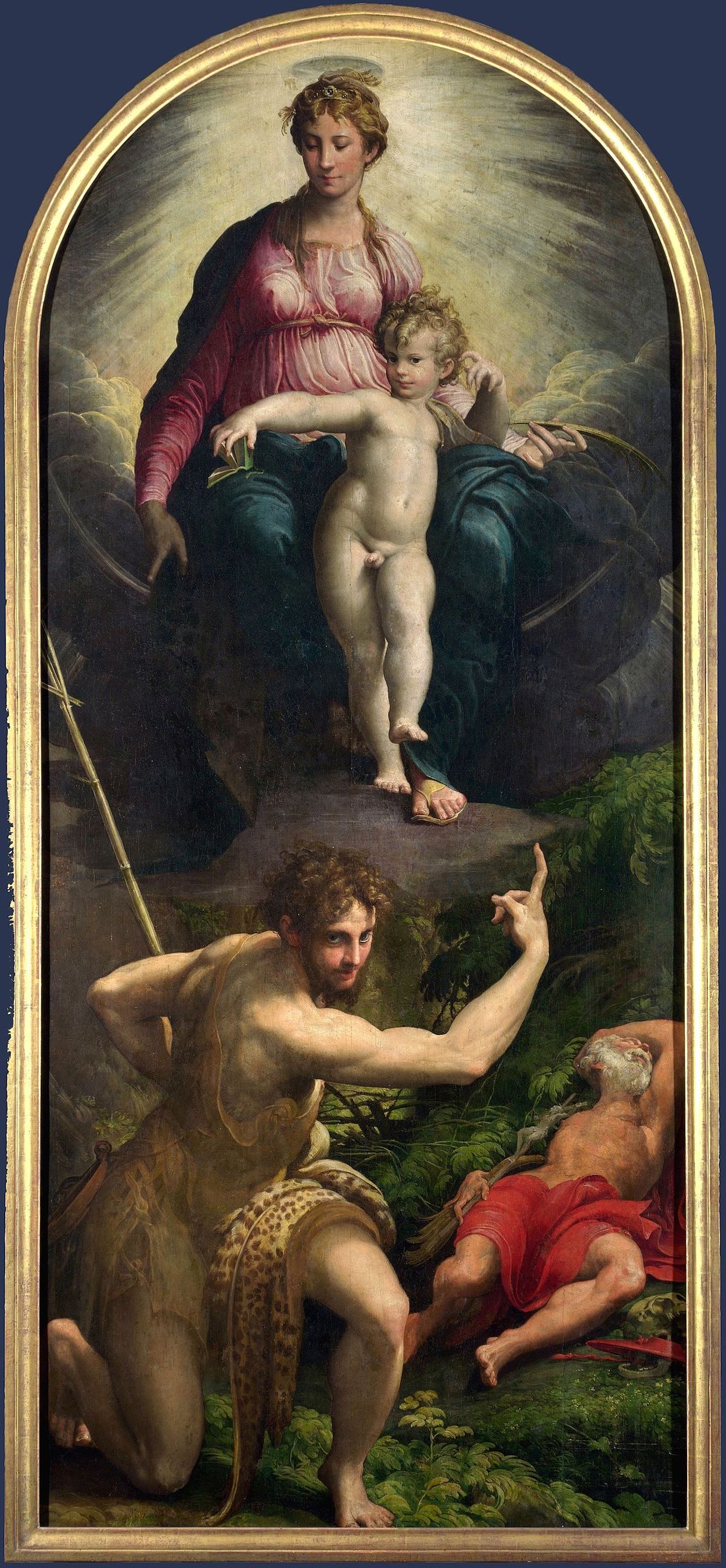 Vision of Saint Jerome by  Parmigianino - 1526–1527 - 343 cm × 149 cm National Gallery