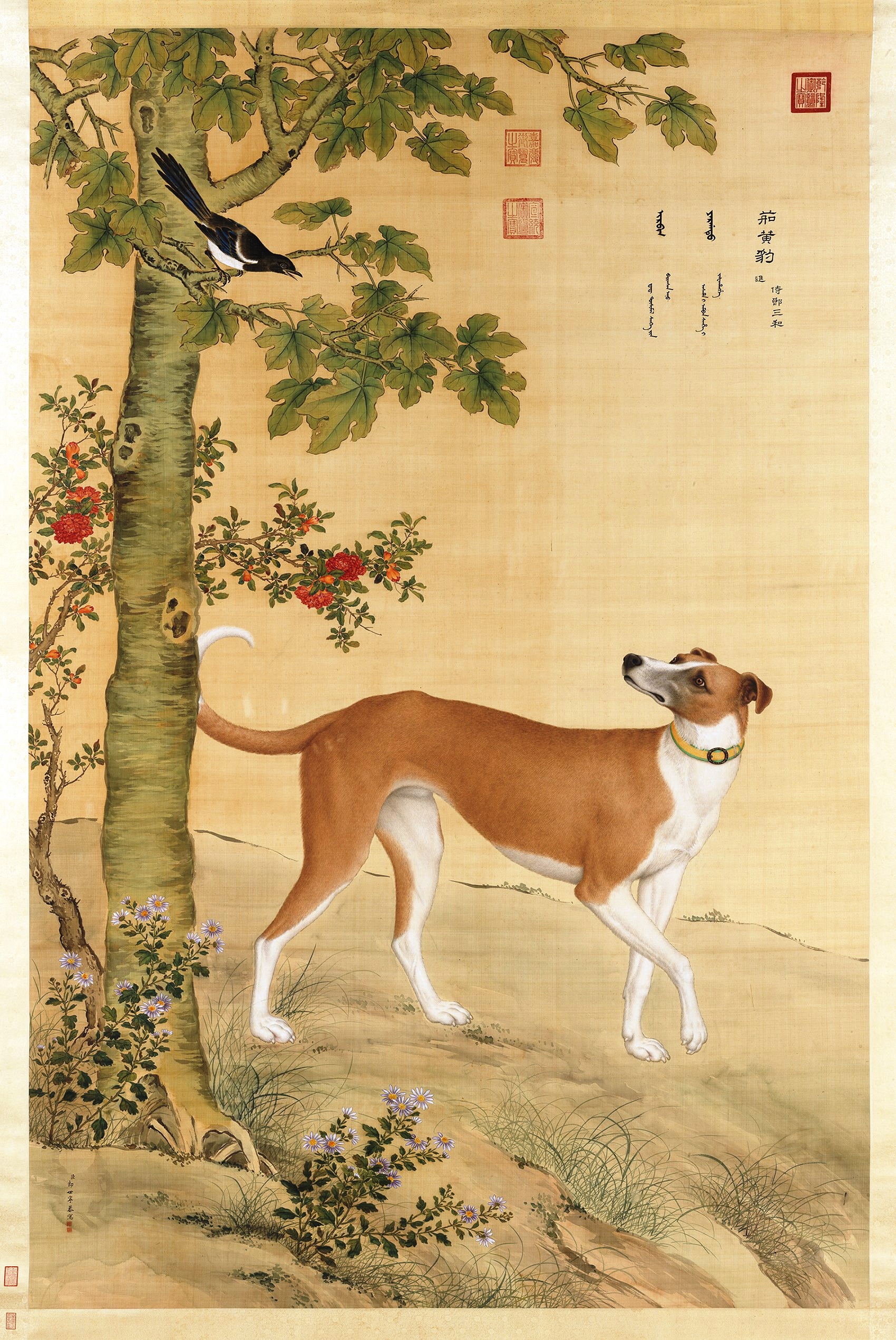 茹黄豹 by 朱塞佩 卡斯蒂格里奥内 - 18th century 