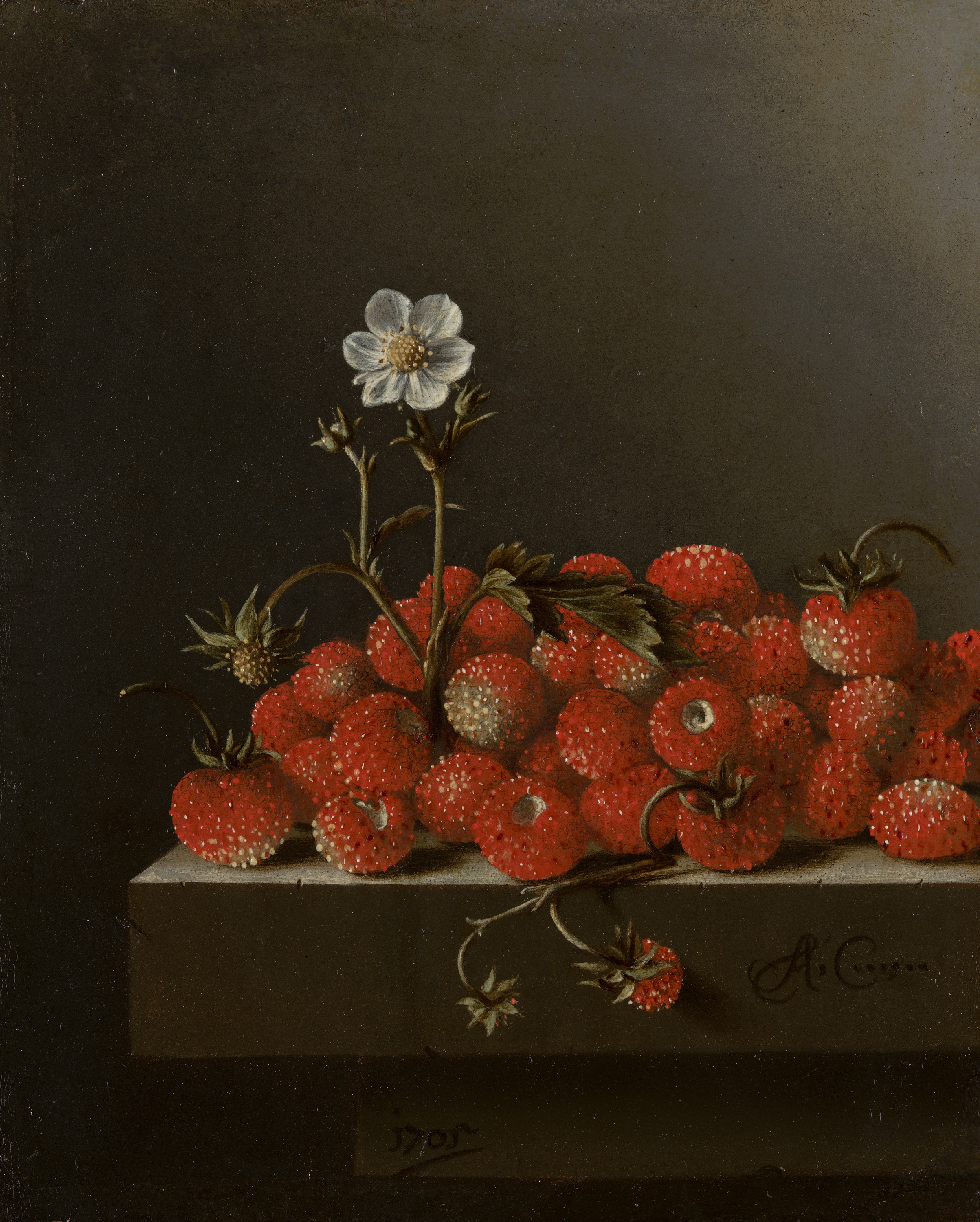 Naturaleza muerta con fresas silvestres by Adriaen Coorte - 1705 - 16.5 x 14 cm Mauritshuis, La Haya