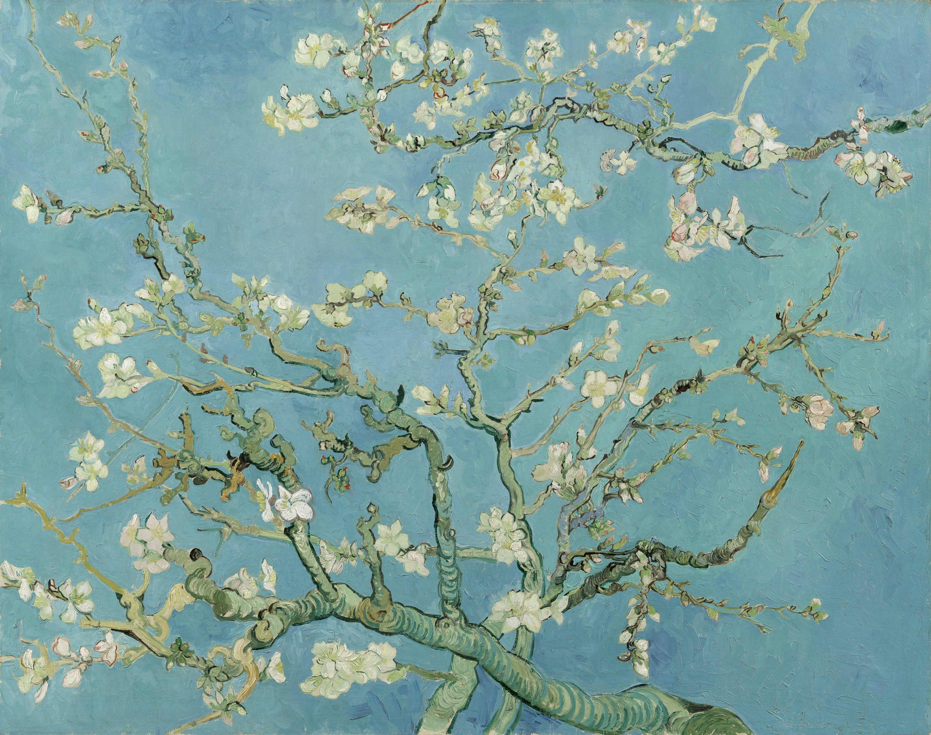 花咲くアーモンドの木の枝 by フィンセント・ ファン・ゴッホ - 1890年 - 74 x 92 cm 