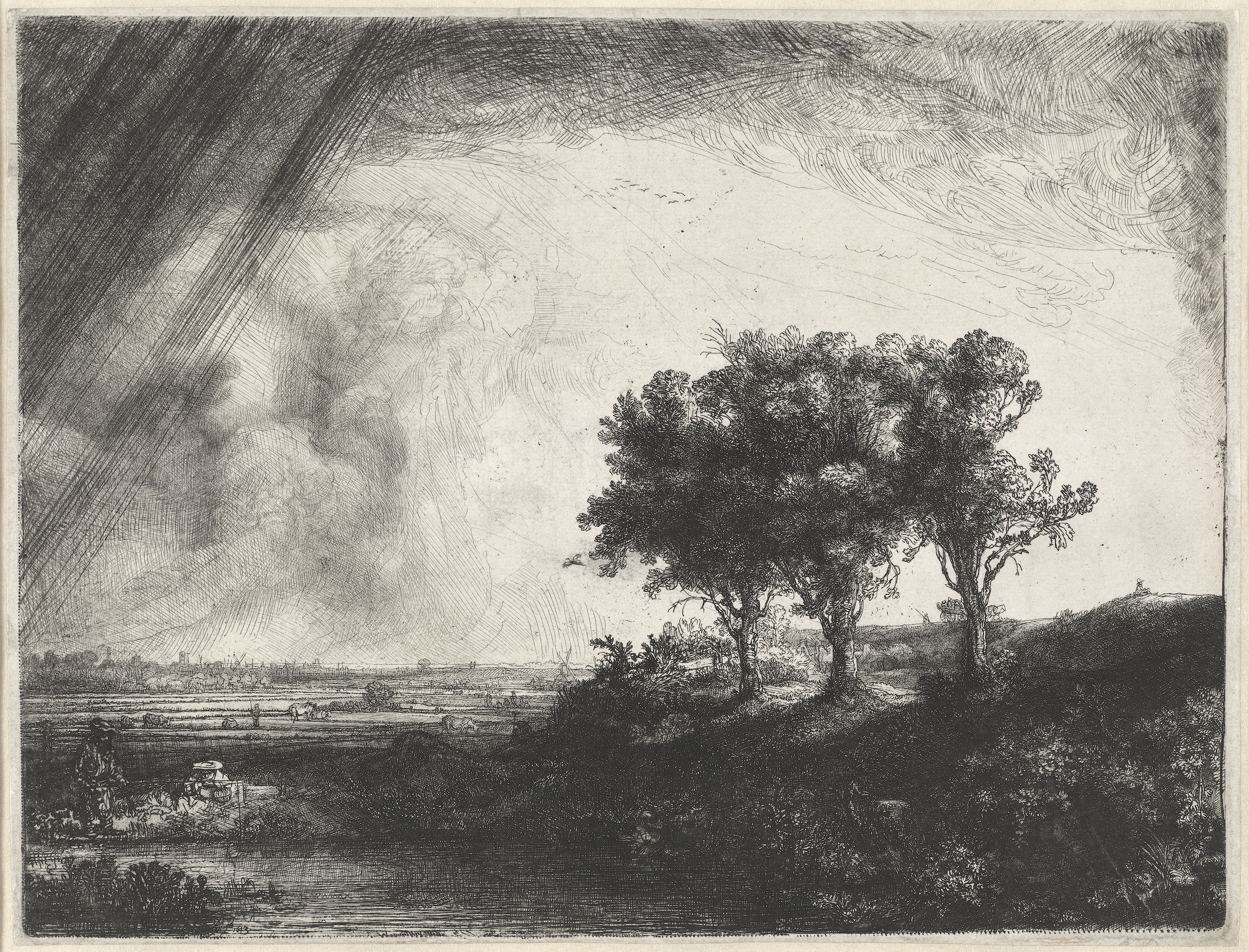 三棵樹 by Rembrandt van Rijn - 1643 - 213 x 279 mm 