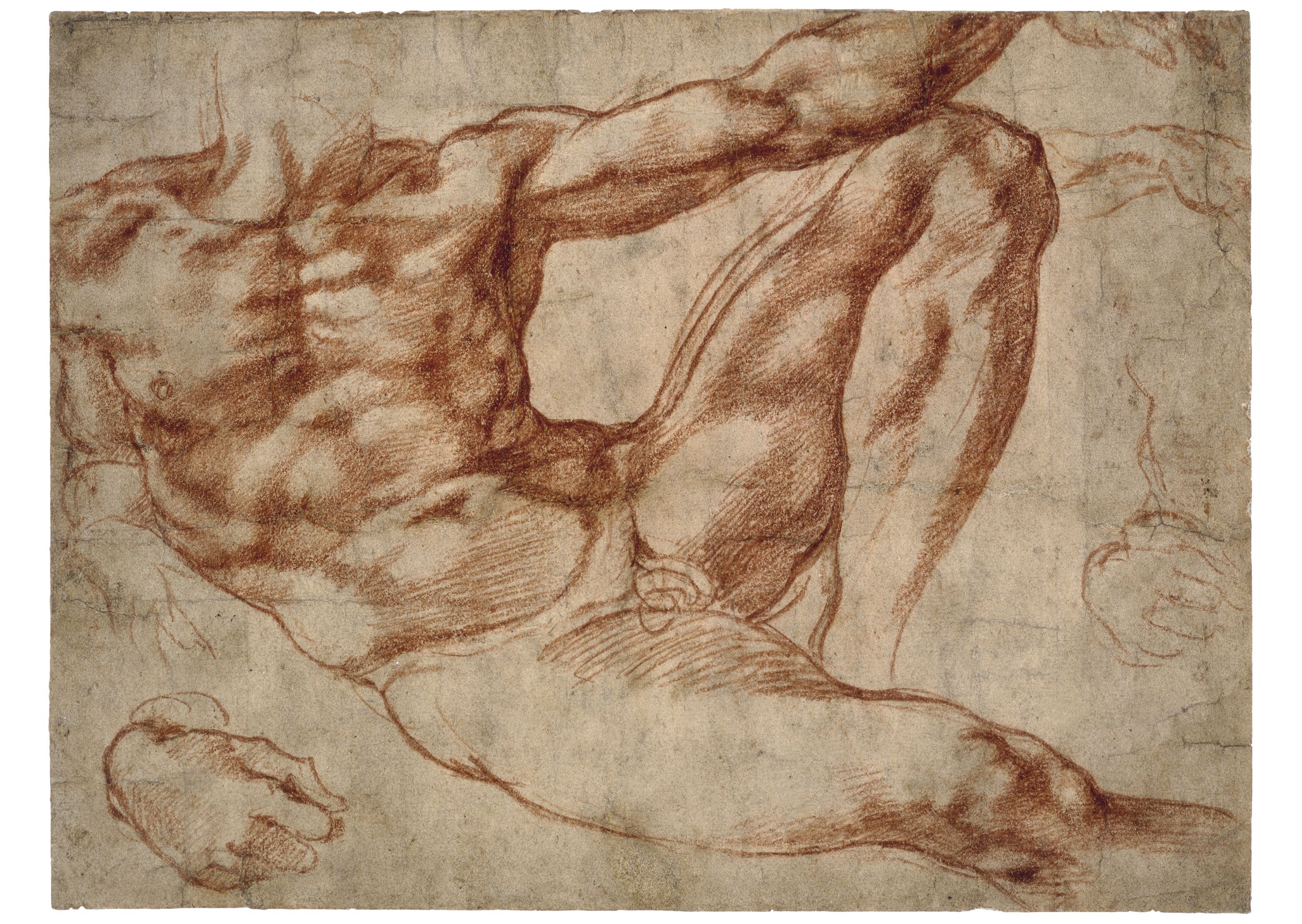 Studies of a reclining male nude: Adam in the fresco 'The Creation of Man' by  Michelangelo - 1511 - 193 x 259 mm British Museum