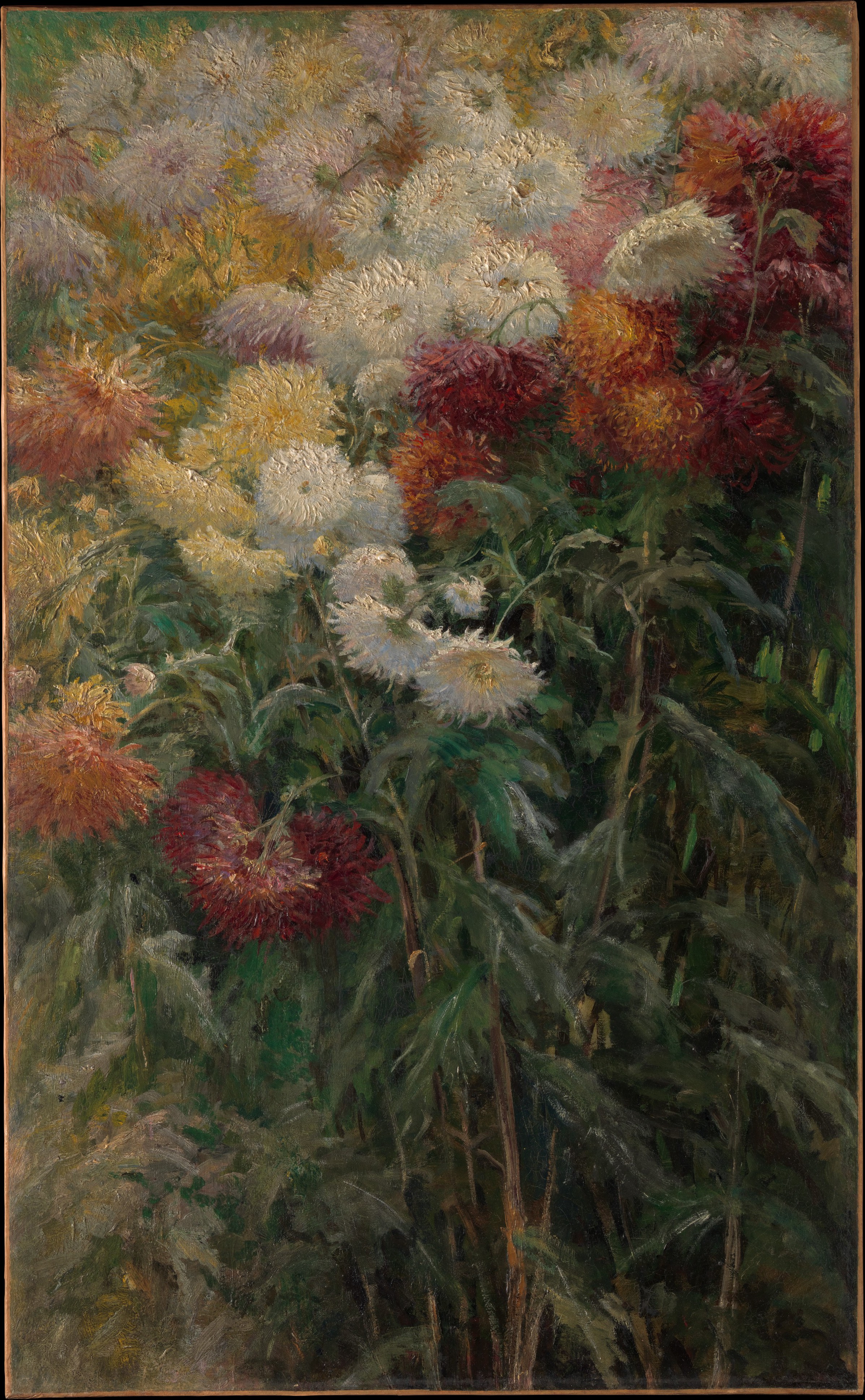 小熱訥維耶花園裡的菊花 by 古斯塔夫 卡耶博特 - 1893年 - 99.4 × 61.6厘米 