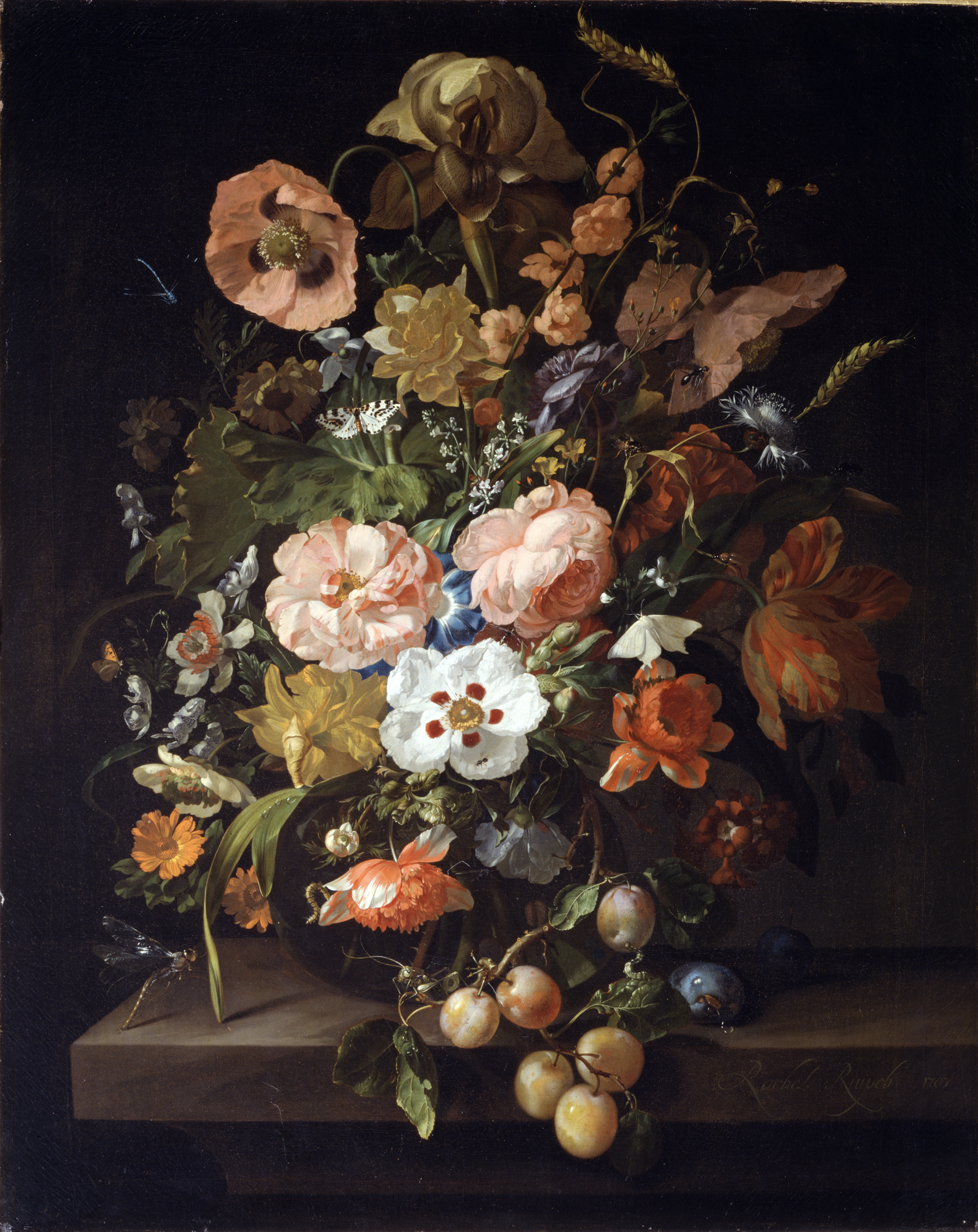 花和水果静物 by 雷切尔 鲁伊施 - 1703 维也纳美术学院