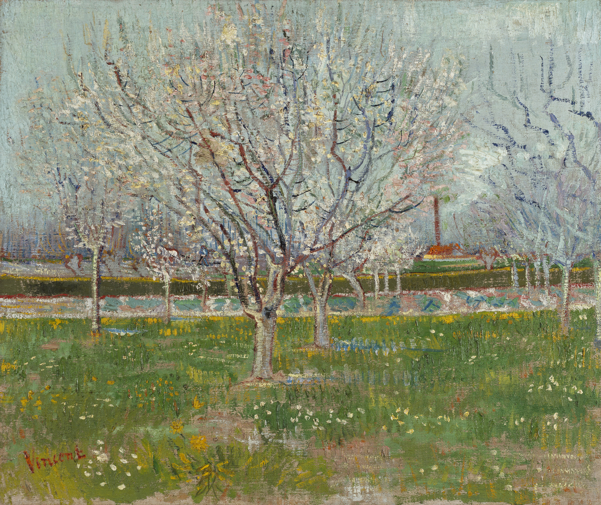 Pomar Florescendo (Ameixeiras) by Vincent van Gogh - 1888 - 54.00 x 65.20 cm 