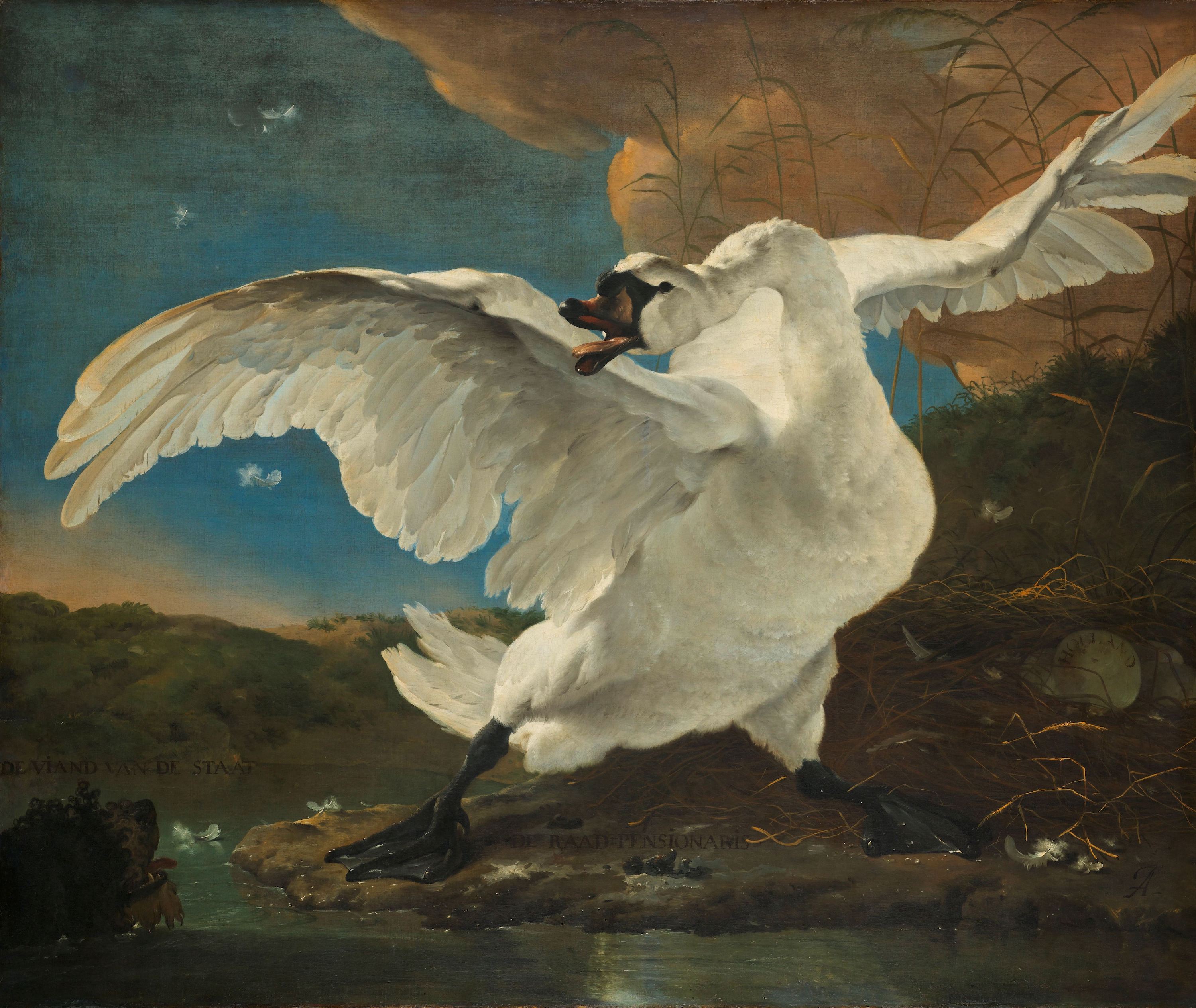 受到威胁的天鹅 by 扬 阿瑟林 - c. 1650 - 144 × 171 cm 