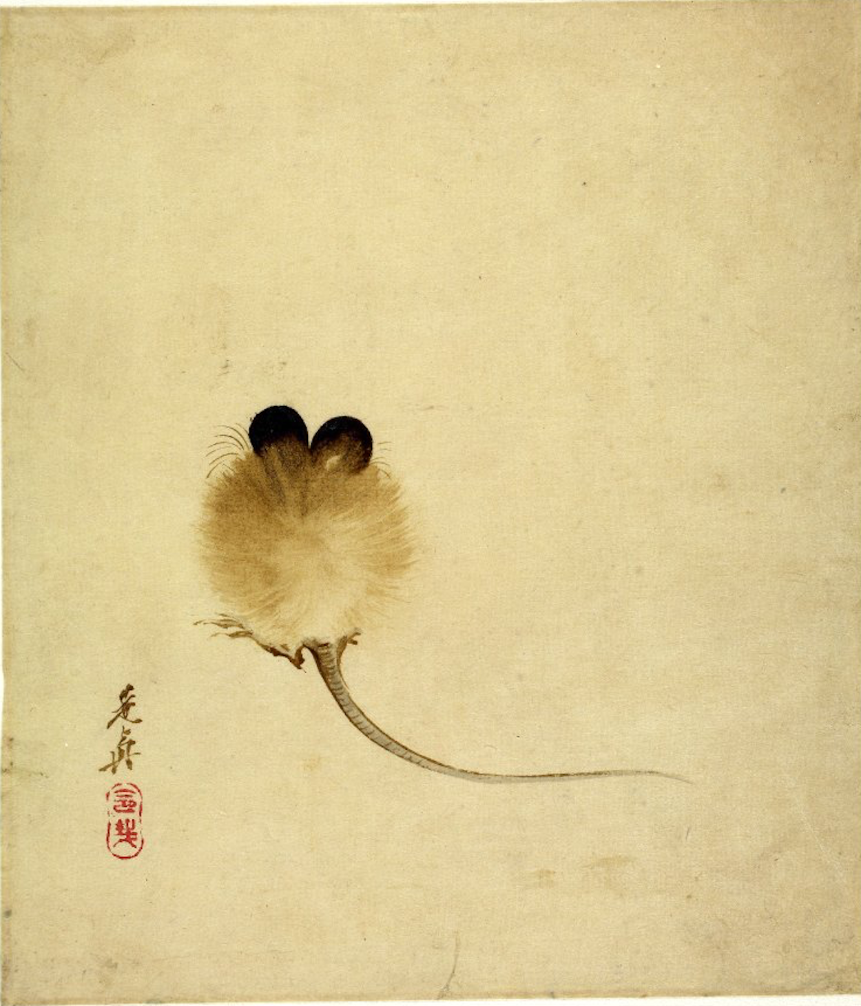 الفأر by Shibata Zeshin - 19th century - 19.4 x 16.8 cm 