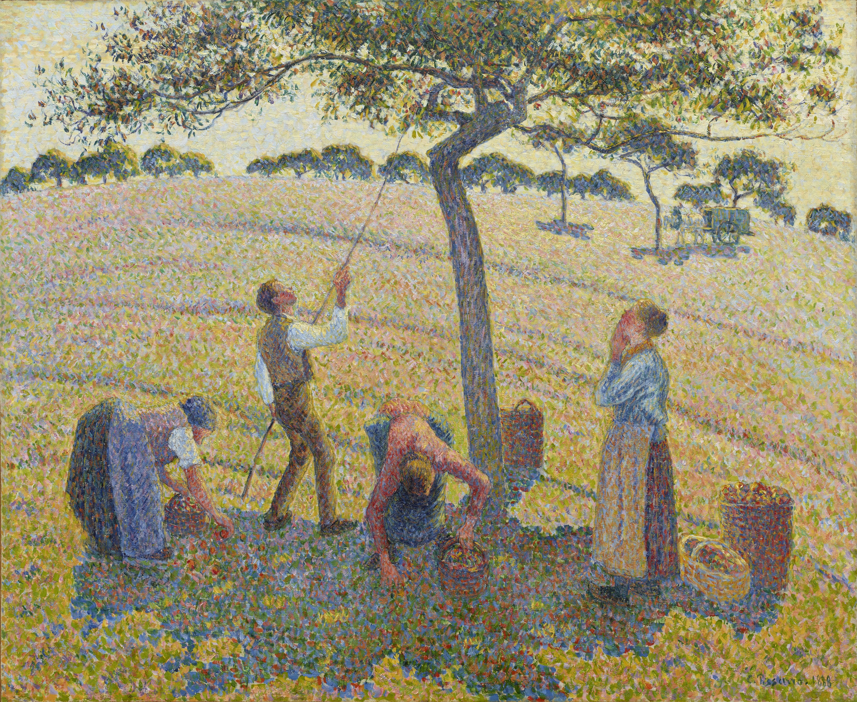 リンゴの収穫 by Camille Pissarro - 1888年 - 61 x 74 cm 