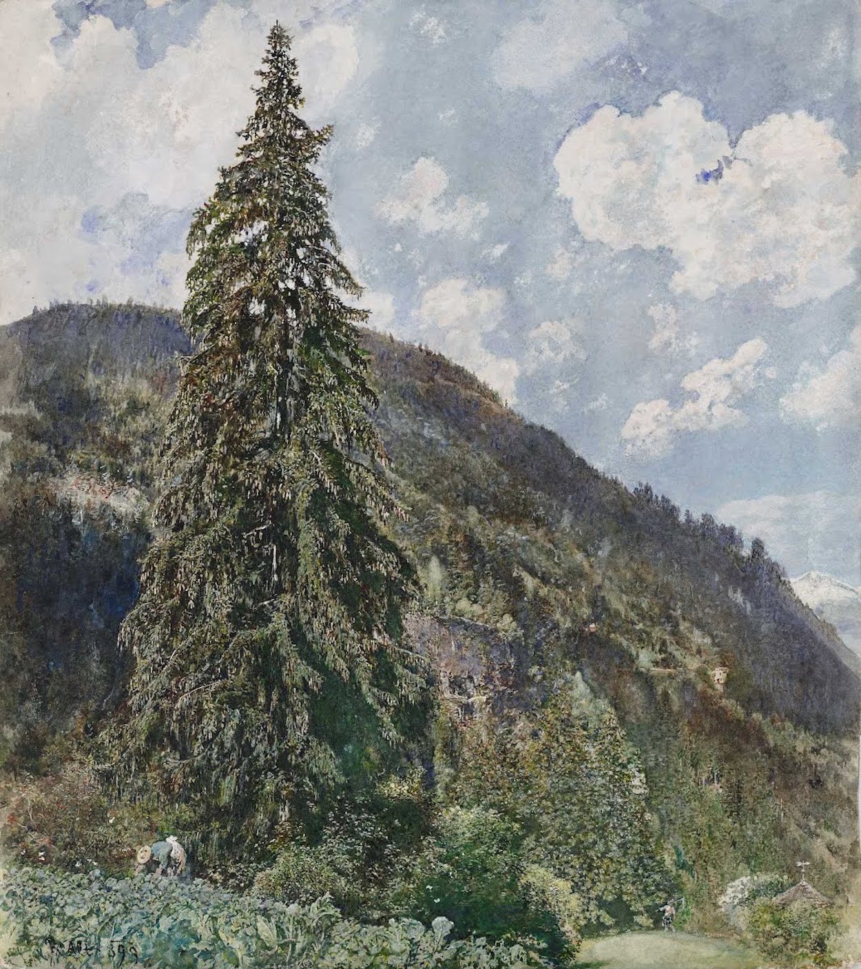 The Old Spruce in Bad Gastein by Rudolf von Alt - 1899 - 50.4 x 56.8 cm Leopold Museum