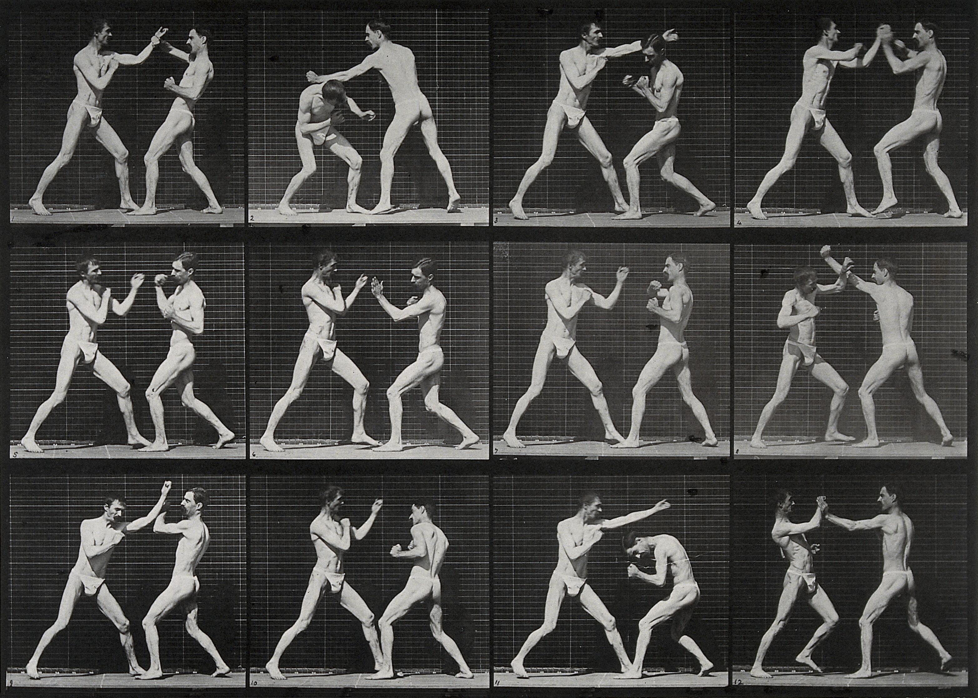दो पुरुष मुक्केबाजी करते हुए by Eadweard Muybridge - 1887 