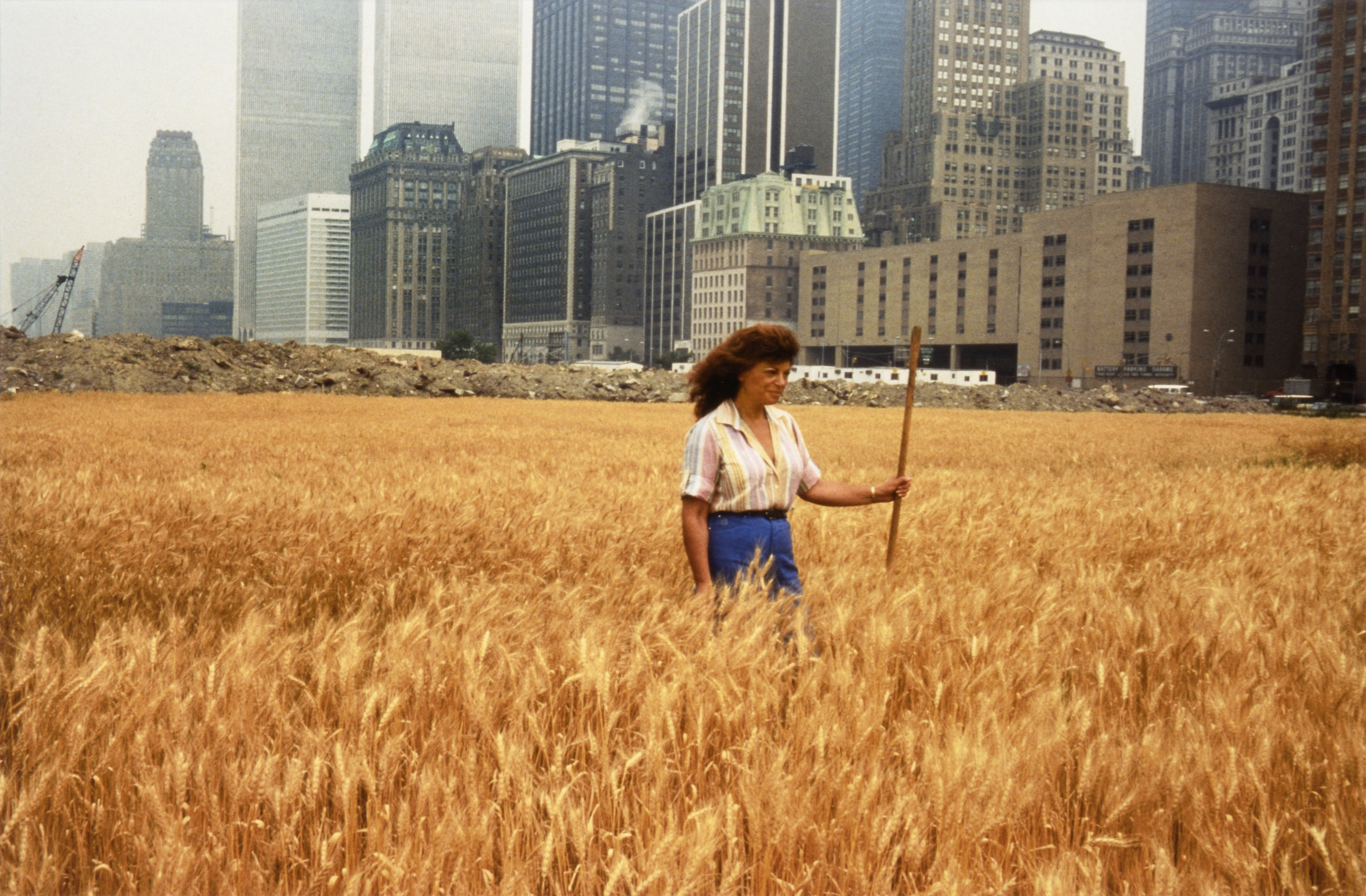 Buğday Tarlası - Bir Yüzleştirme: Battery Park Çöp Sahası, Aşağı Manhattan - Tarlada Duran Agnes Denes ile by Agnes Denes - 1982 