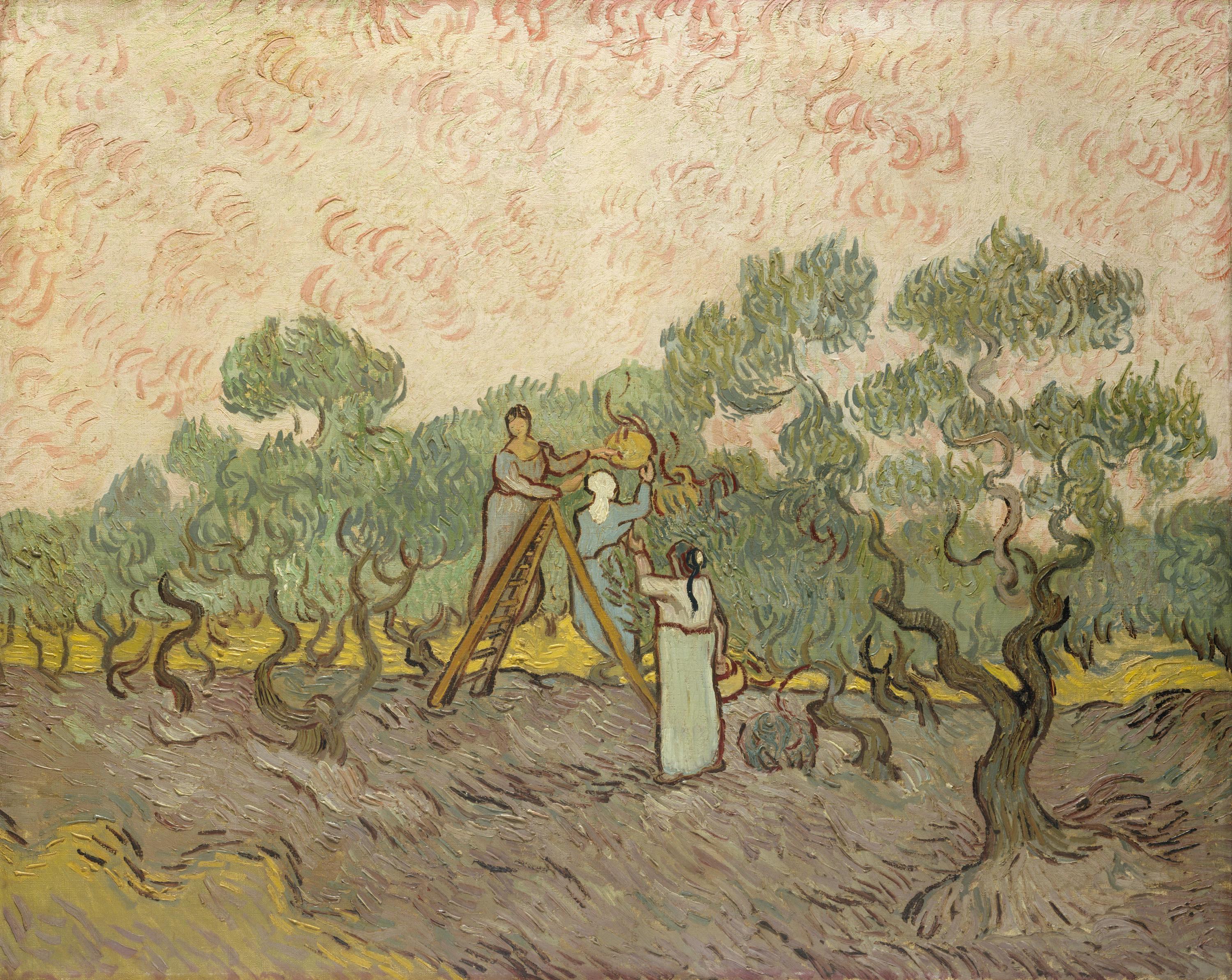 Femei culegând măsline by Vincent van Gogh - 1889 - 72,7 x 91,4 cm 