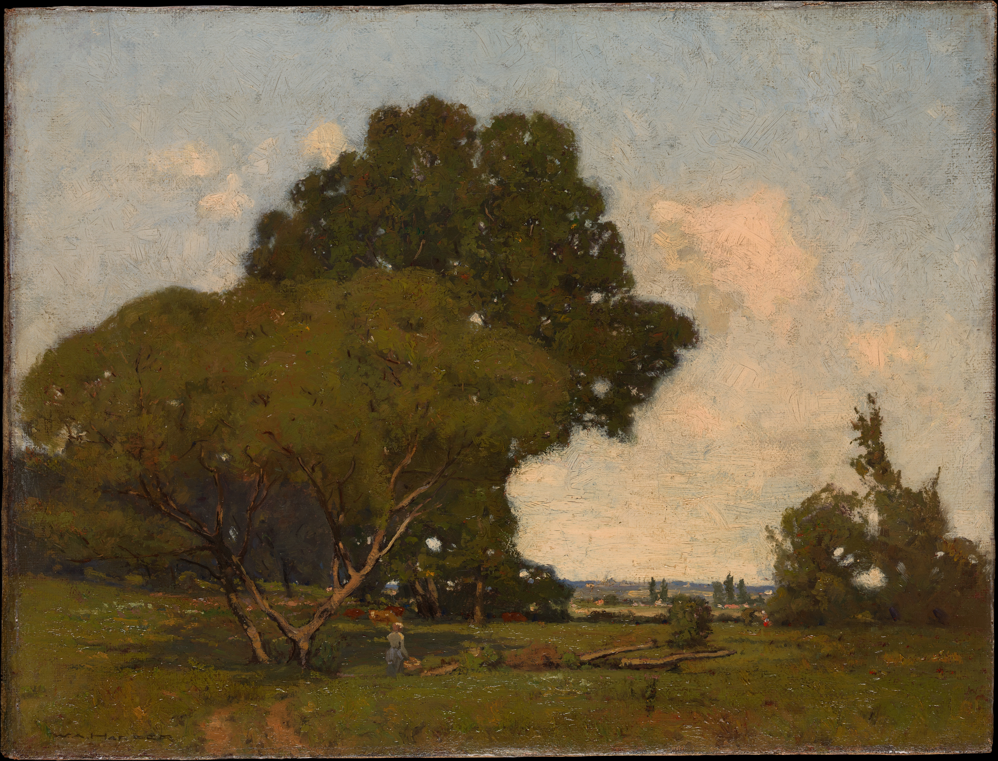 Stromy, Brzké odpoledne, Francie by William A. Harper - cca. 1905 - 50,8 × 66 cm 