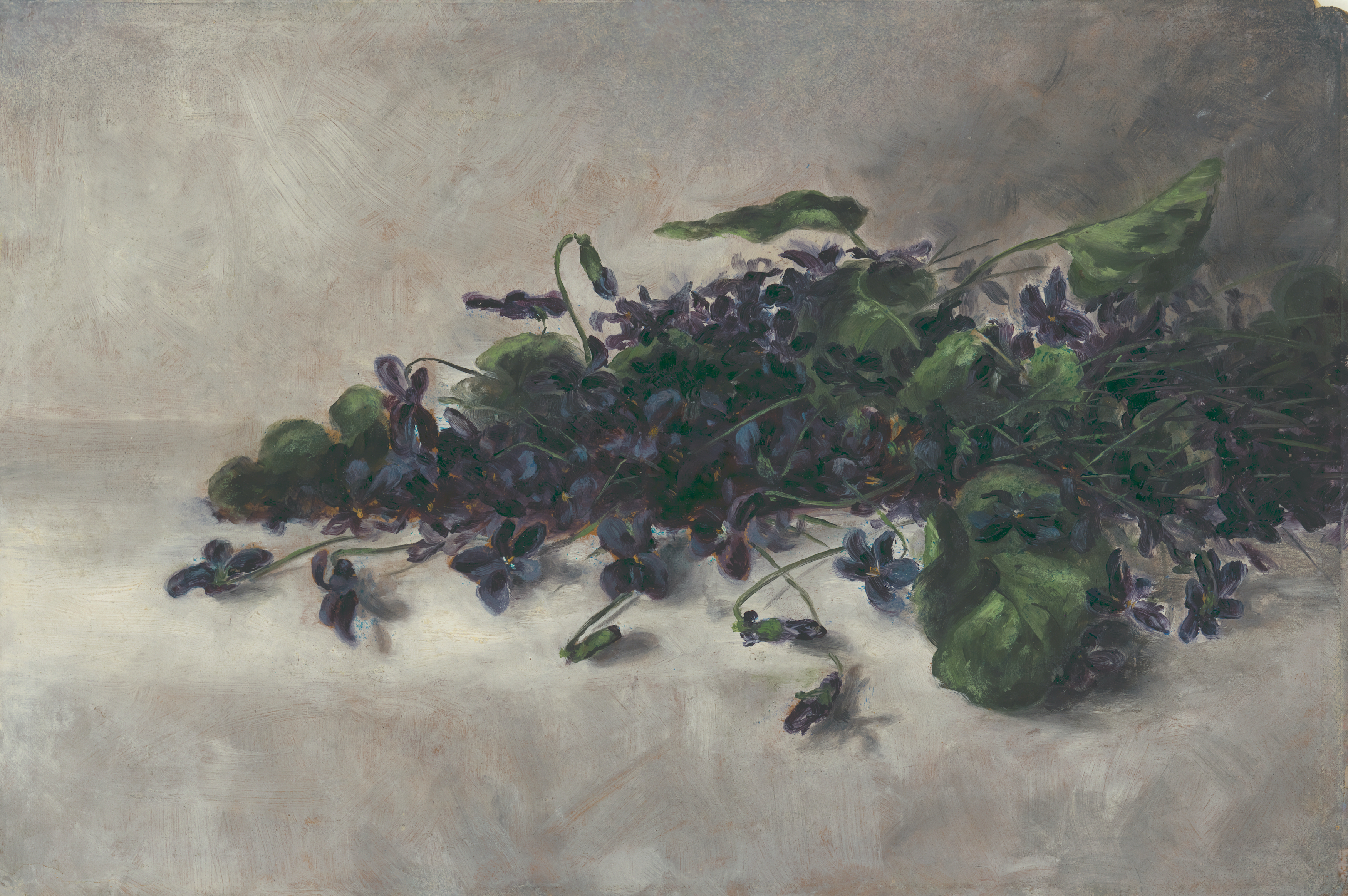 Menekşeler (orig. "Violets") by Pauline Powell Burns - 1890 civarı - 27.3 × 31.4 cm 
