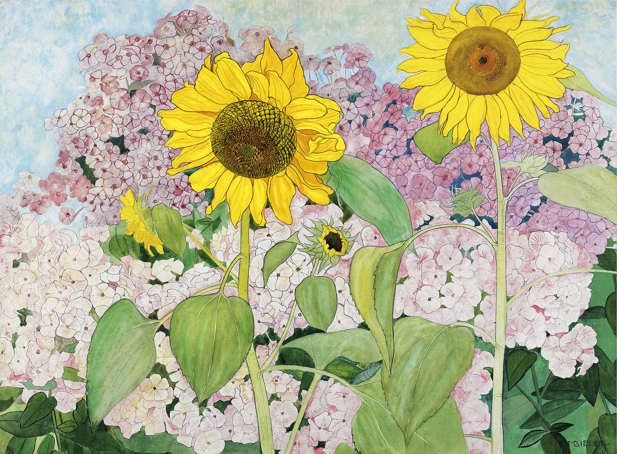 De zonnebloemen by Ernest Biéler - 1910 - 47,5 x 65 cm Collection Pictet