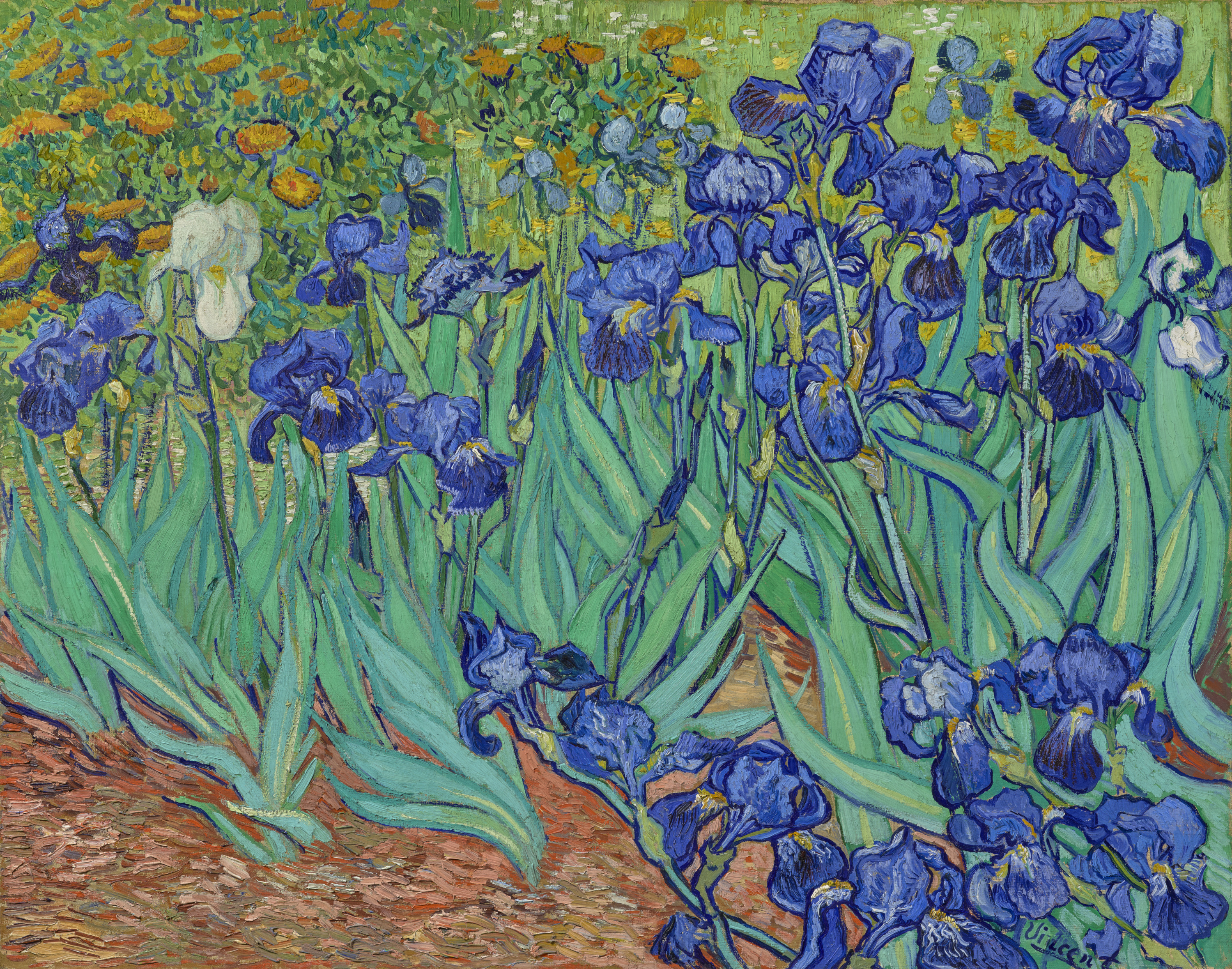 鳶尾花 by Vincent van Gogh - 1889 - 74.3 × 94.3 cm 