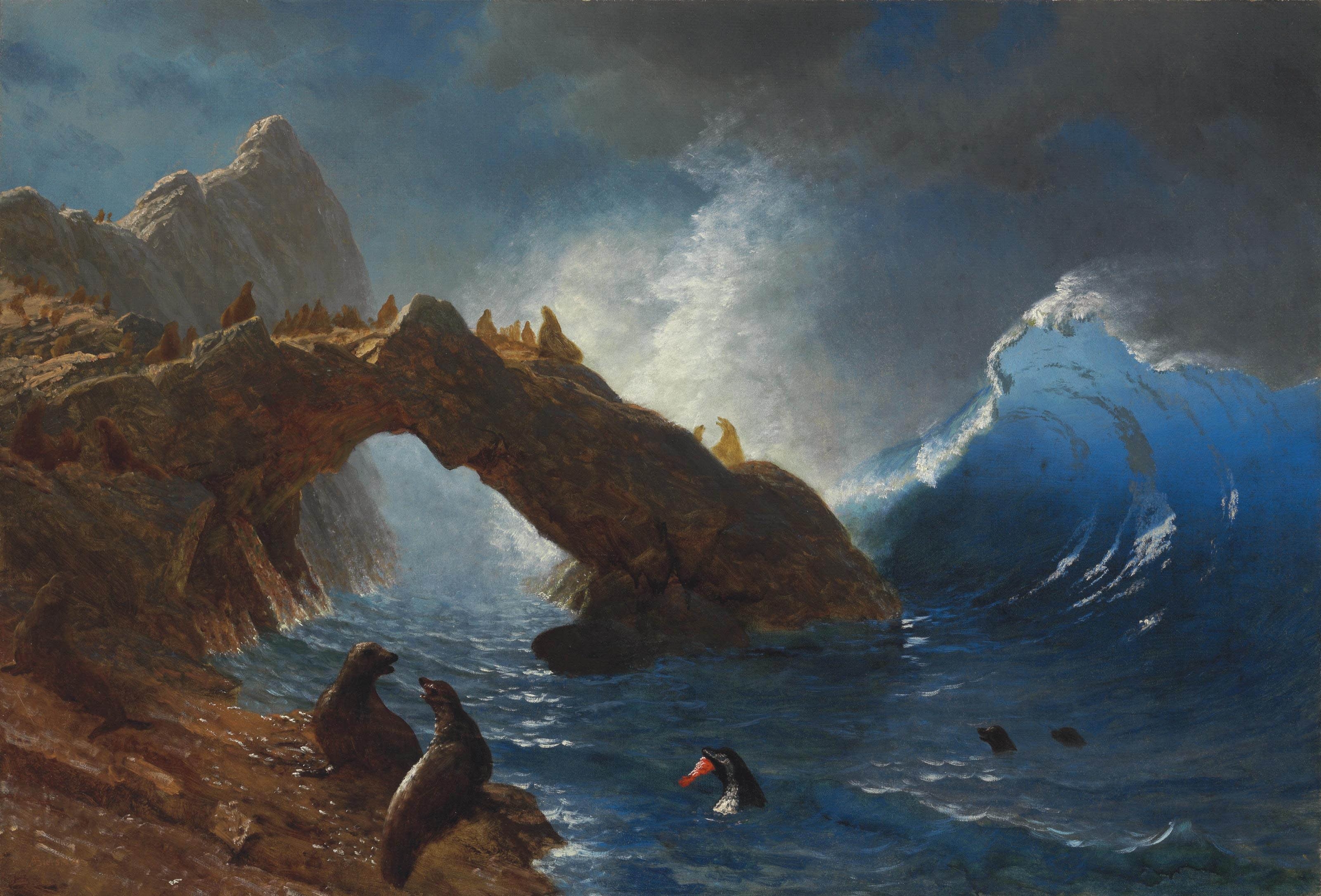 فقمات على الصخور by Albert Bierstadt - حوالي 1873 م - 76.8 في 111.8 سم 