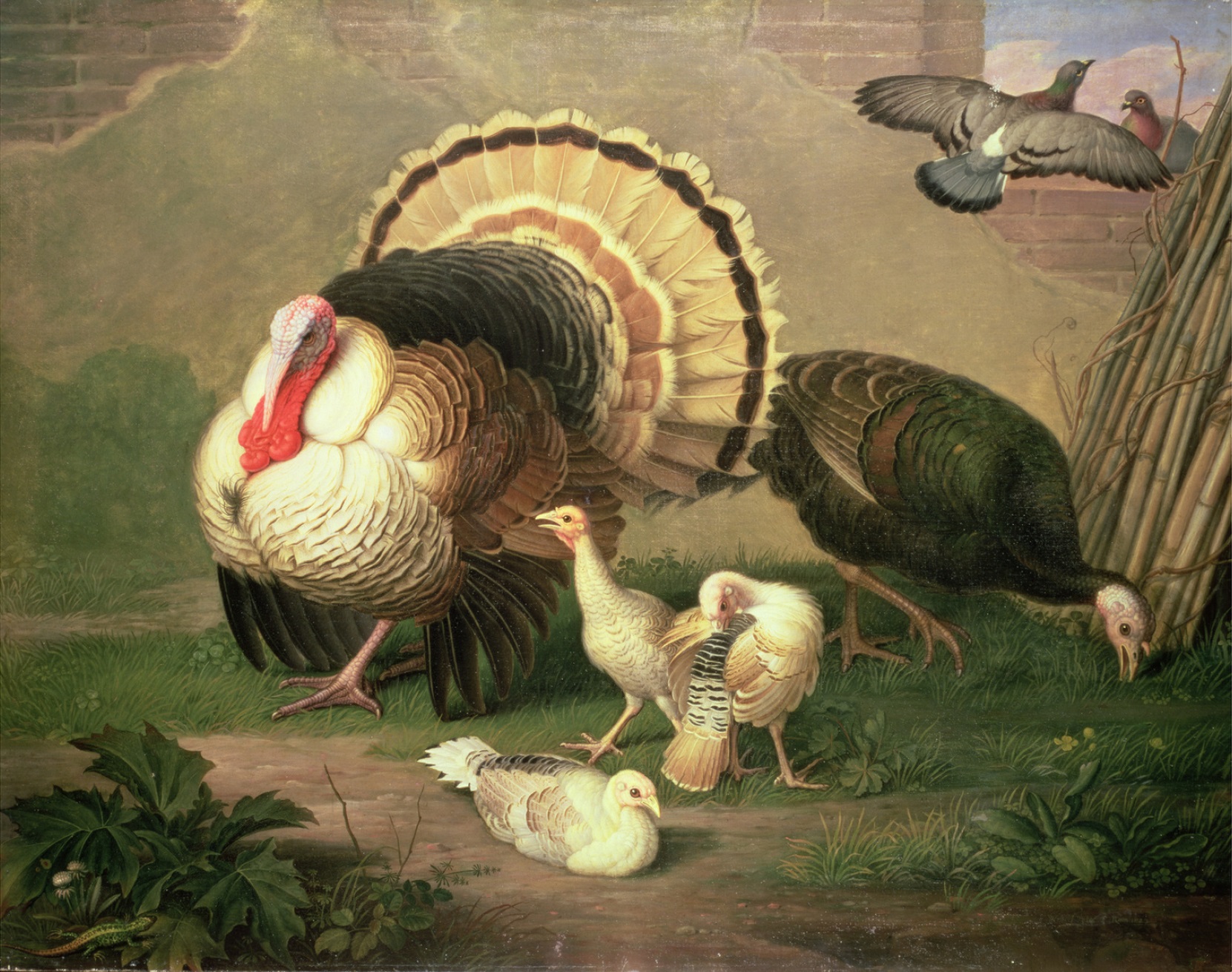 Turkeys by Johann Wenzel Peter - before 1829 private collection