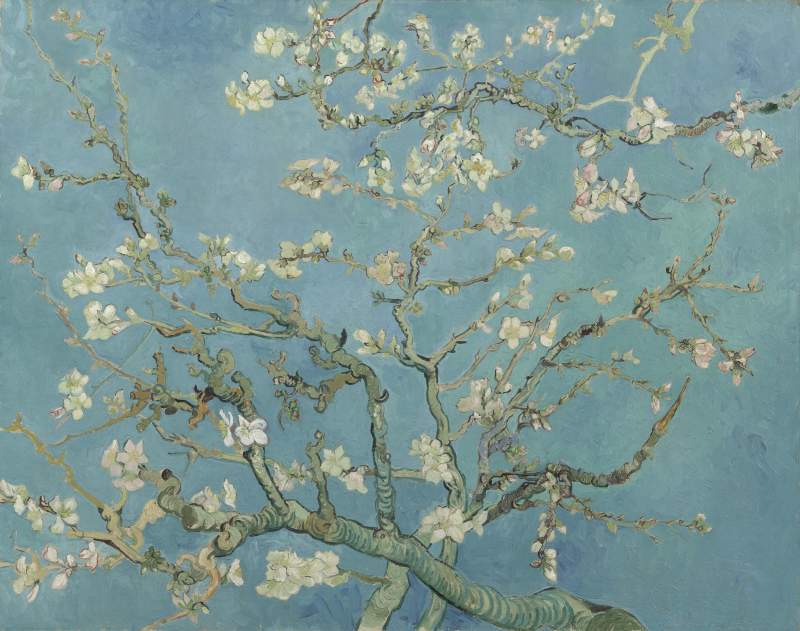 花咲くアーモンドの木の枝 by フィンセント・ ファン・ゴッホ via